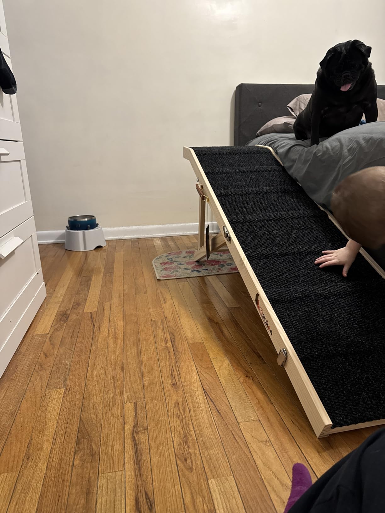 2026 Upgraded Dog Ramp for Bed, 64