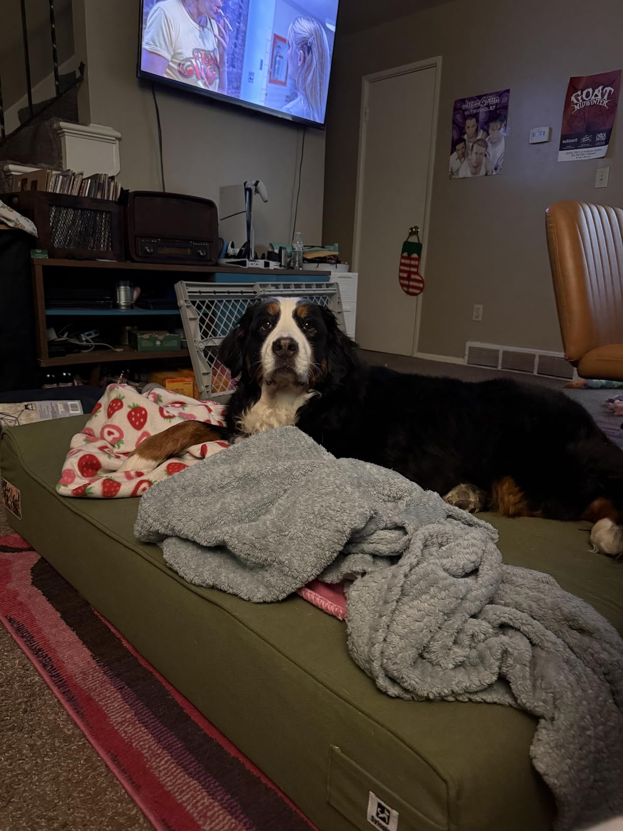 XXL 35D Memory Foam Dog Bed for Extra Large Dogs - 7