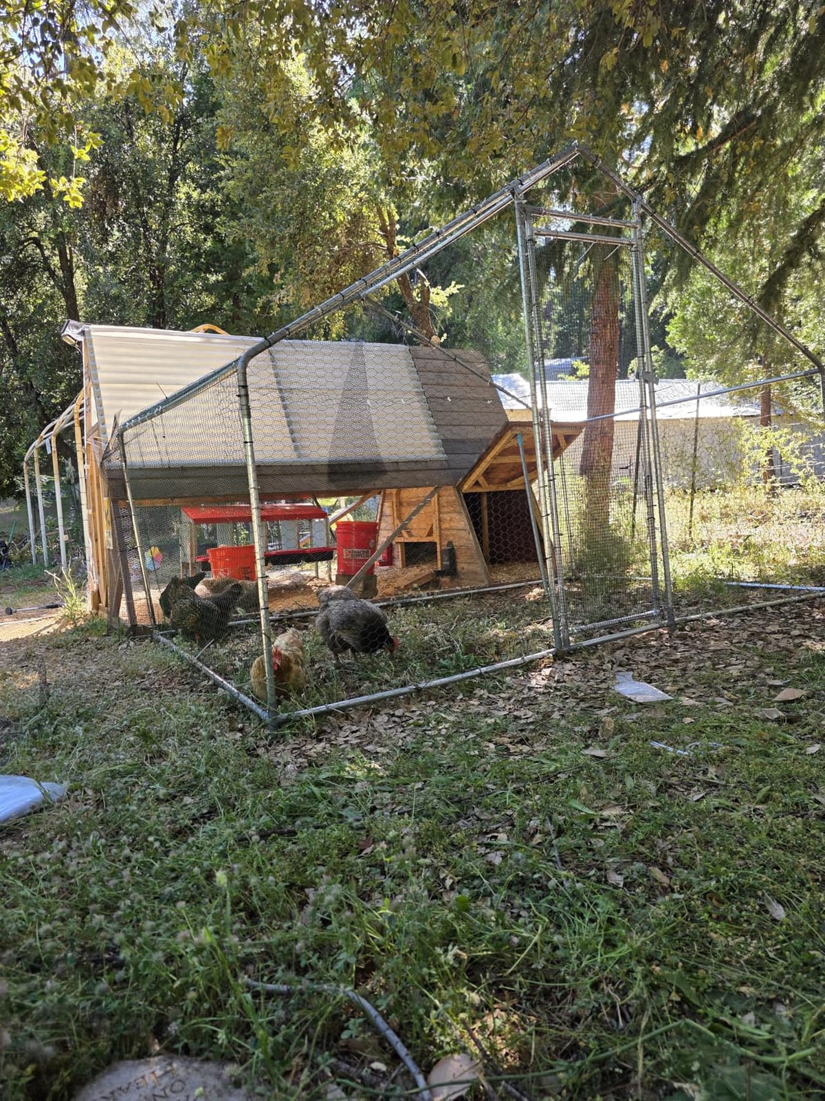 VEVOR Large Metal Chicken Coop, 19.7x9.8x6.5ft Walk-in Chicken Runs for Yard with Cover, Spire Roof Hen House with Security Lock for Outdoor and Backyard, Farm, Duck Rabbit Cage Poultry Pen customer photo 1