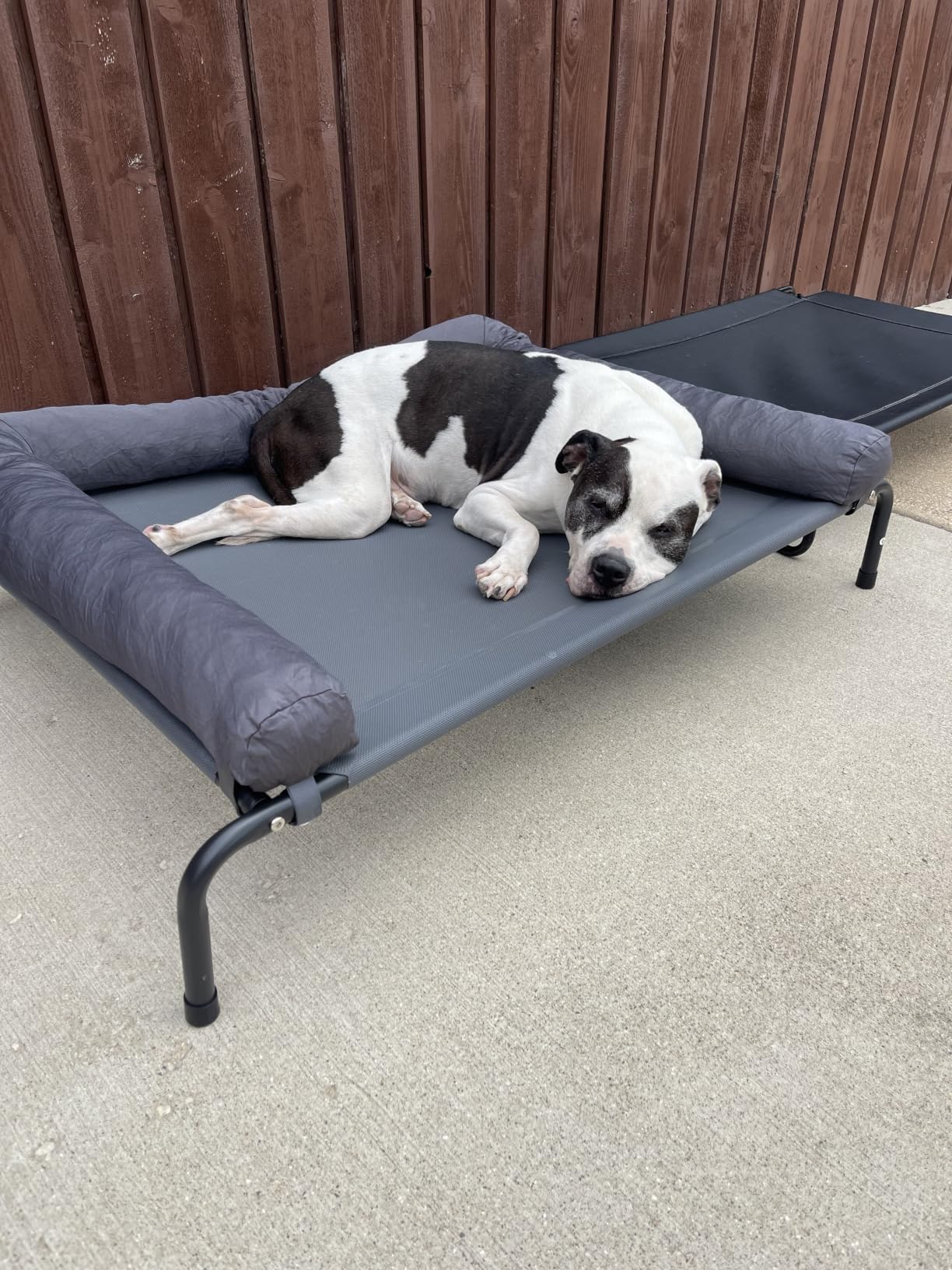 WESTERN HOME Cooling Elevated Dog Bed for Large Dogs, Outdoor Raised Dog Bed - Dogs Cot Portable Indoor, Raised with Breathable Mesh, Chew Proof Pet Hammock Cots, Removable and Waterproof Bolsters customer photo 2
