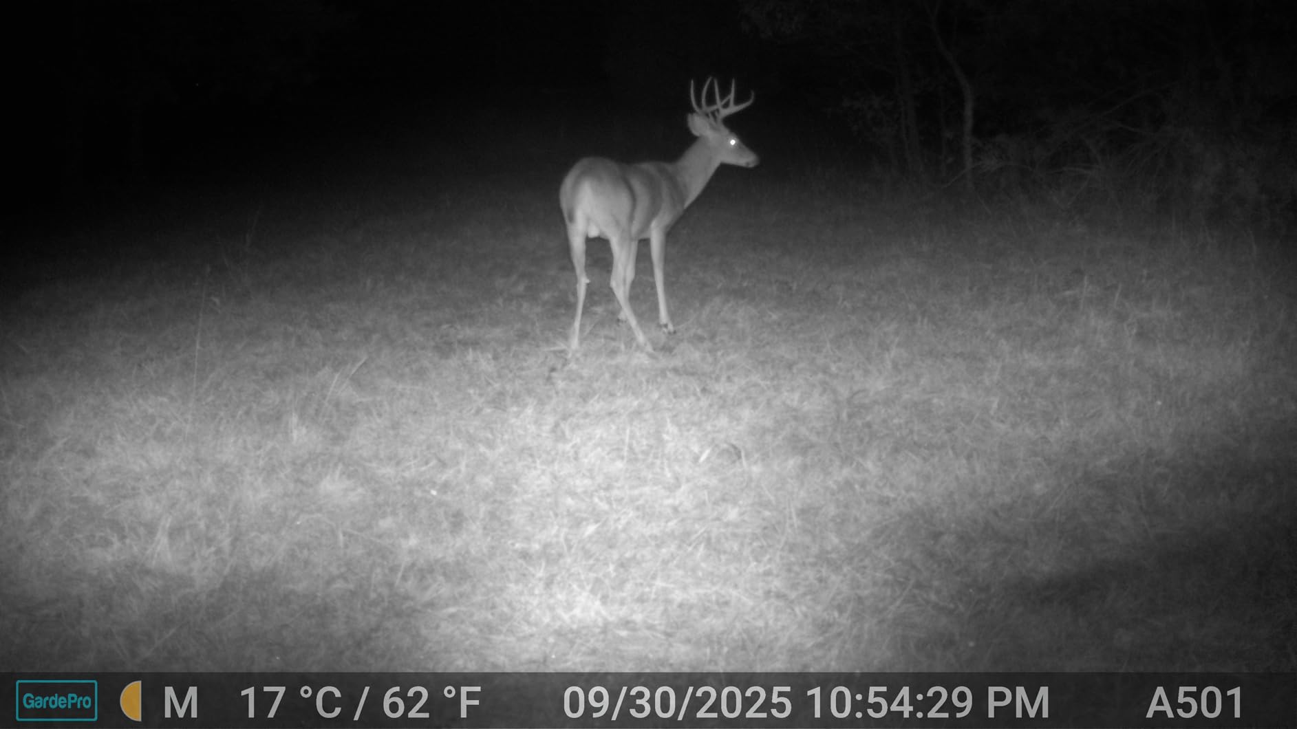 GardePro A50 4K Trail Camera, Enhanced Low-Light Performance | True 4K Video with Sound, 0.1s Trigger, 100ft No-Glow Night Vision, Motion Activated, Non-Cellular, Non-WiFi customer photo 1