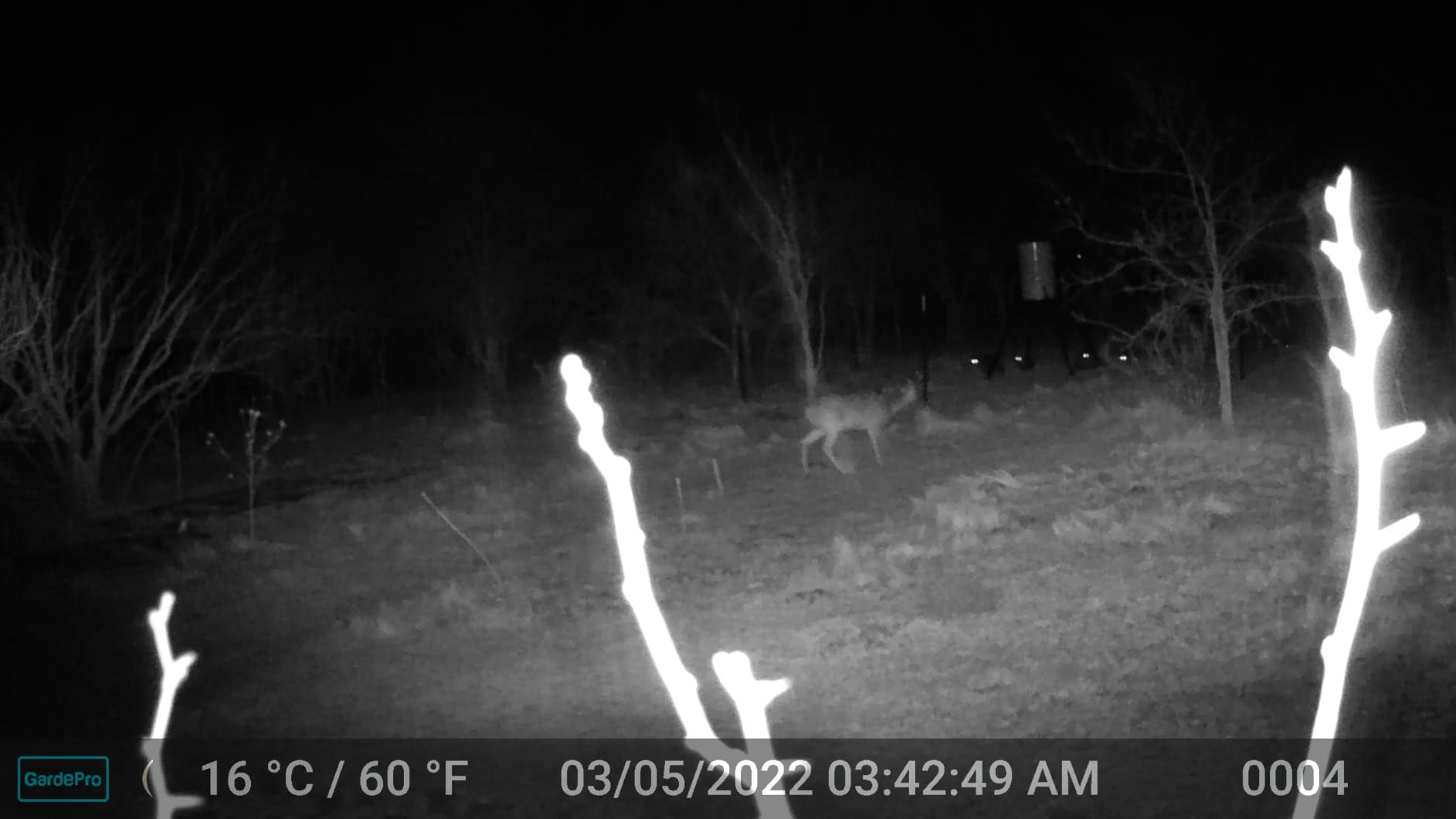 GardePro A50 4K Trail Camera, Enhanced Low-Light Performance | True 4K Video with Sound, 0.1s Trigger, 100ft No-Glow Night Vision, Motion Activated, Non-Cellular, Non-WiFi customer photo 2