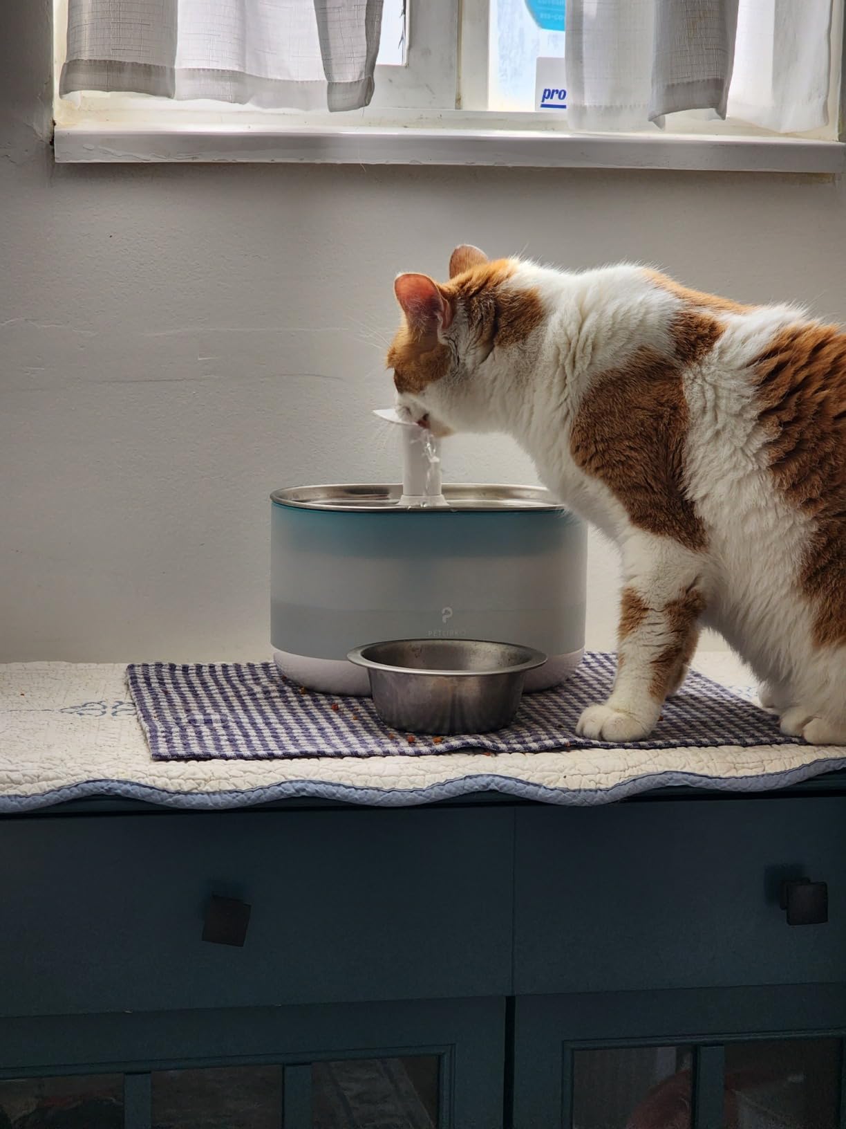 PETLIBRO RFID Multi Cats Water Fountain with Cat Recognition & Hydration Monitoring, Pump-Free Auto Cat Water Dispenser, Large Capacity 101oz/3L, 2.4G Wi-Fi APP Control Cat Fountain x2 Collar Tags customer photo 1