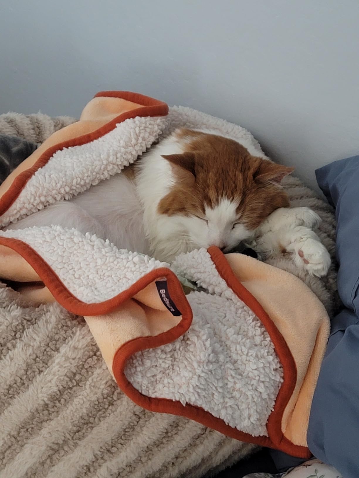 GASUR Extra Large Heated Cat Bed for Large Dogs, Waterproof Cat Heating Pad with Timer Temperature Adjustable, Indoor Electric Pet Heated Pad for Cats Dogs, Anti-bite Dog Heated Pad, 47''x28'', XLarge customer photo 2