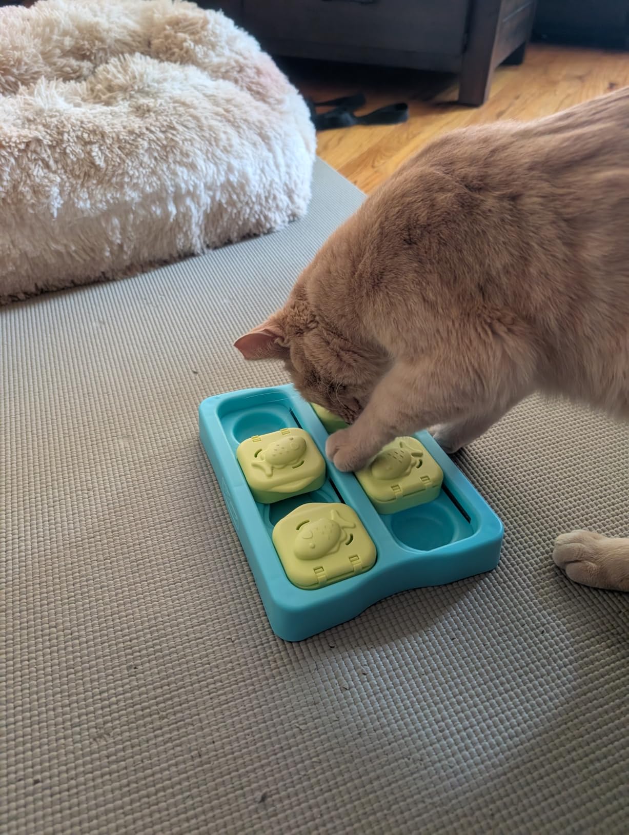 Catstages Nina Ottosson Kitty Cube Puzzle Cat Toy Treat Puzzle, 8.7