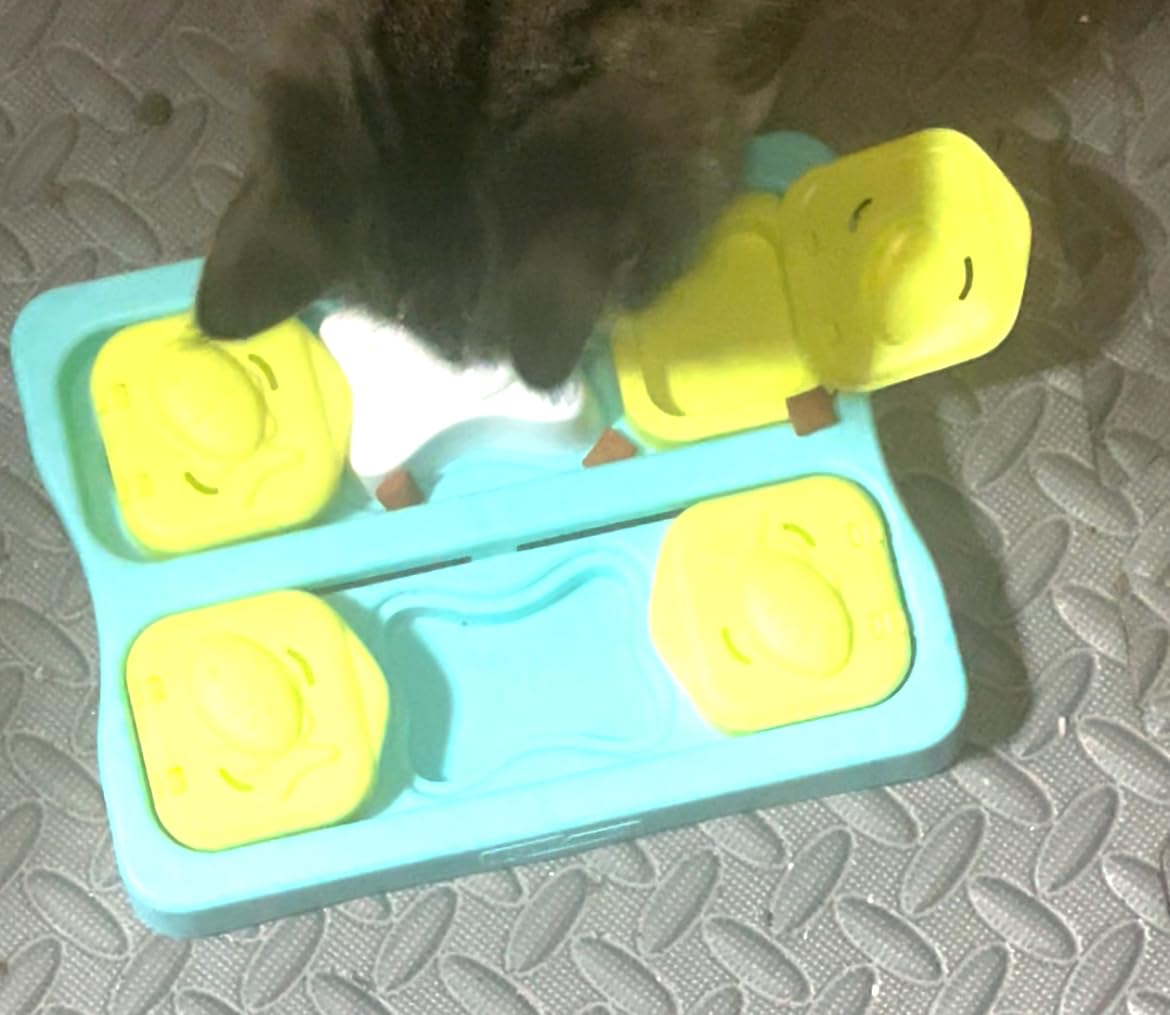 Catstages Nina Ottosson Kitty Cube Puzzle Cat Toy Treat Puzzle, 8.7