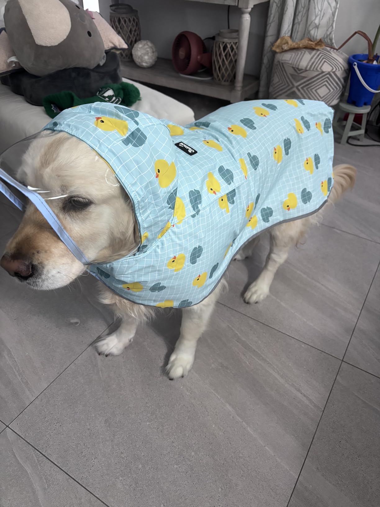 SlowTon Dog Raincoat, Waterproof Dog Rain Jacket with Clear Hooded, Adjustable Poncho with Double Layer, Leash Hole, Reflective Strip Straps customer photo 1