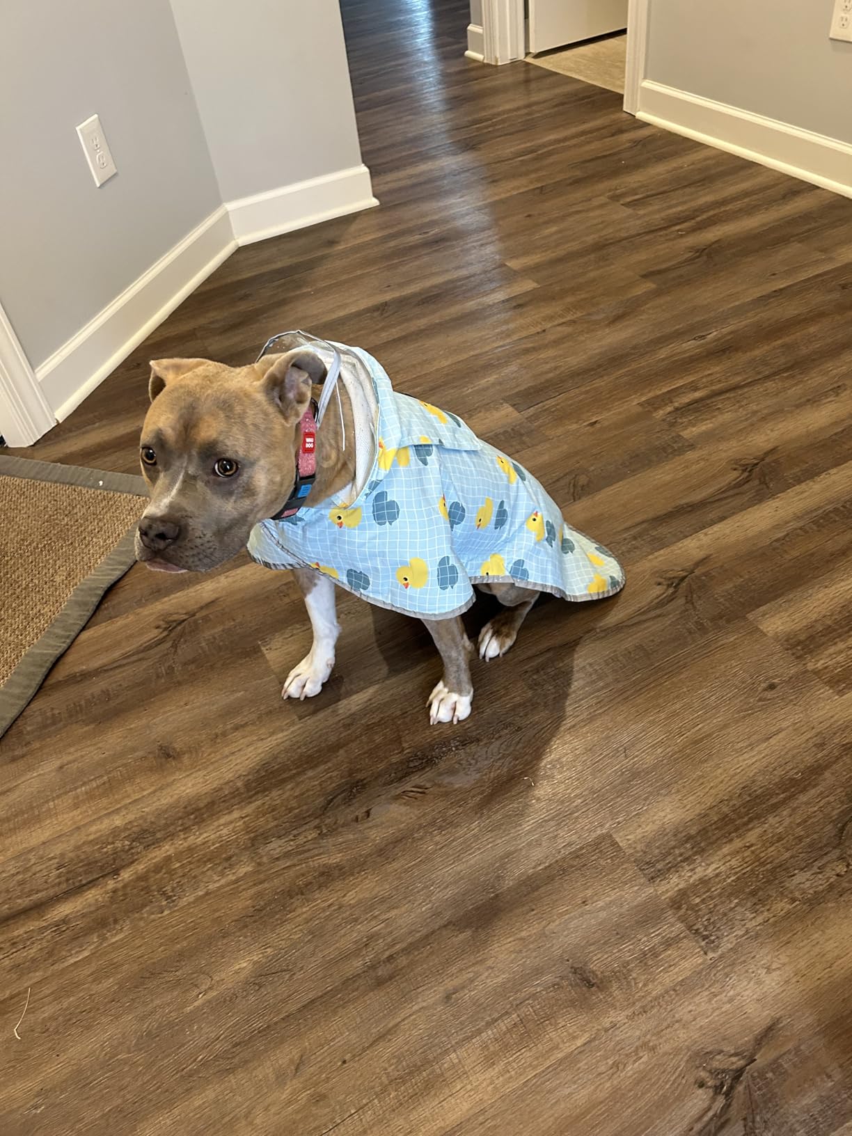 SlowTon Dog Raincoat, Waterproof Dog Rain Jacket with Clear Hooded, Adjustable Poncho with Double Layer, Leash Hole, Reflective Strip Straps customer photo 2