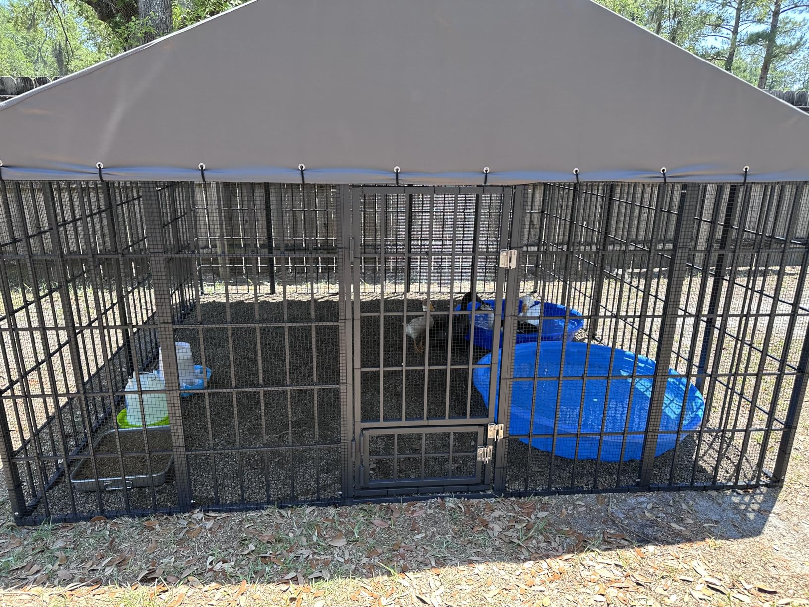 Gotland Dog Kennel Outdoor 10x10x6 FT, Dog Cage Outdoor for Medium/Large Dogs with Waterproof Roof Double Secure Locks Ground Spikes, All Weather Heavy Duty Dog Enclosure for Backyard Farm Ranch customer photo 1