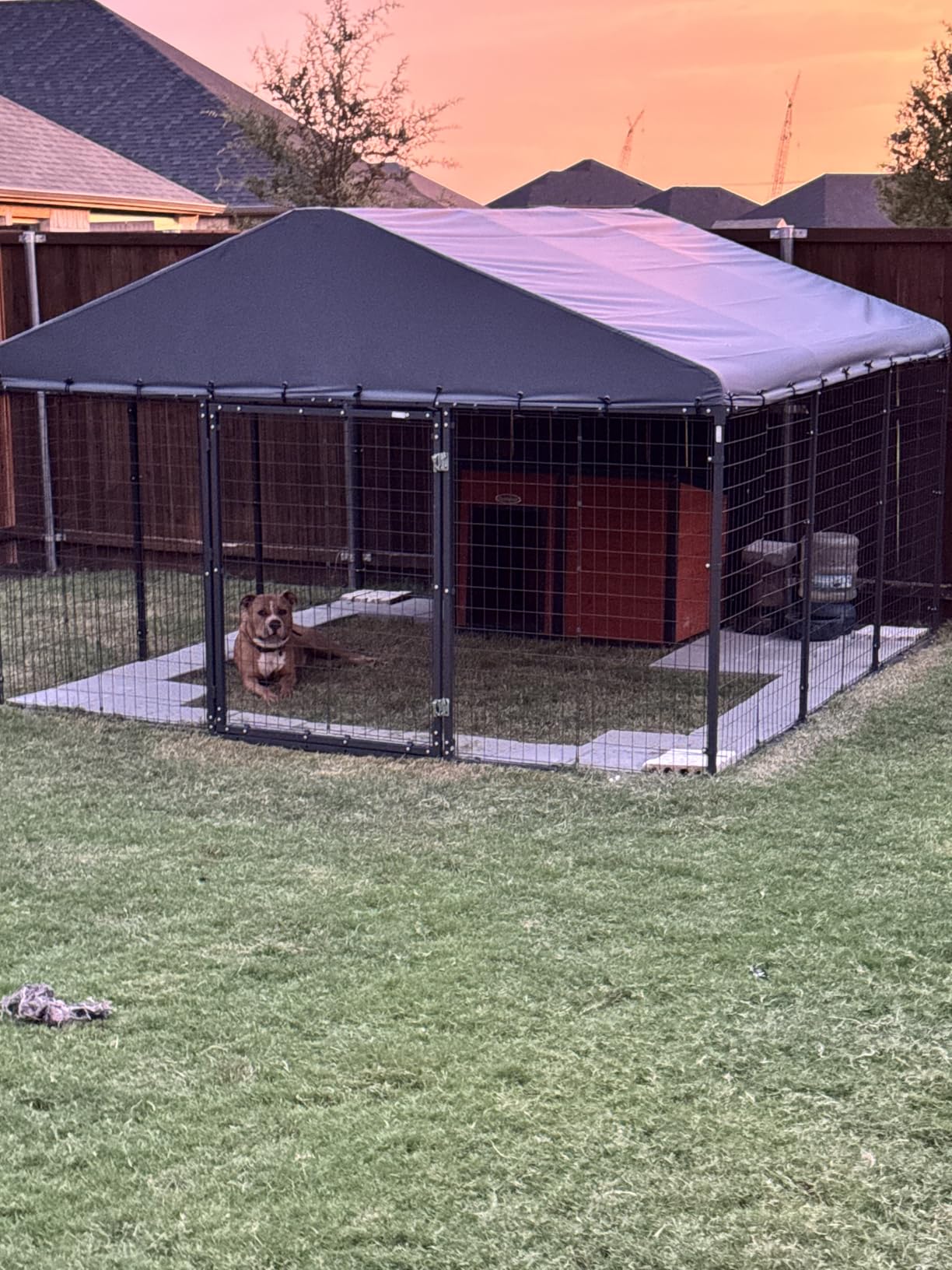 Gotland Dog Kennel Outdoor 10x10x6 FT, Dog Cage Outdoor for Medium/Large Dogs with Waterproof Roof Double Secure Locks Ground Spikes, All Weather Heavy Duty Dog Enclosure for Backyard Farm Ranch customer photo 2