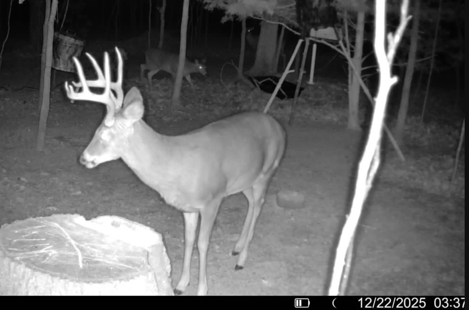 TACTACAM Reveal Pro 3.0 Cellular Trail Camera - Multi-Cellular Network, GPS, 2