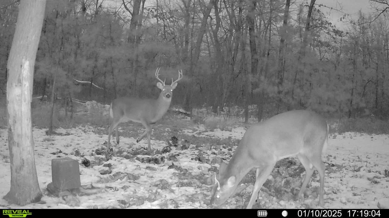 TACTACAM Reveal Pro 3.0 Cellular Trail Camera - Multi-Cellular Network, GPS, 2