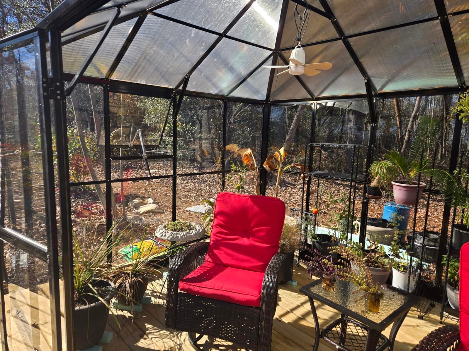 Jocisland 16x12x9.5 FT Outdoor Polycarbonate Greenhouse, 6 FT Wall Height | Aluminum Greenhouses with 4 Ventilation and Rain Gutter, Double Doors with Hook, Walk-in Greenhouse for Backyard Garden customer photo 1