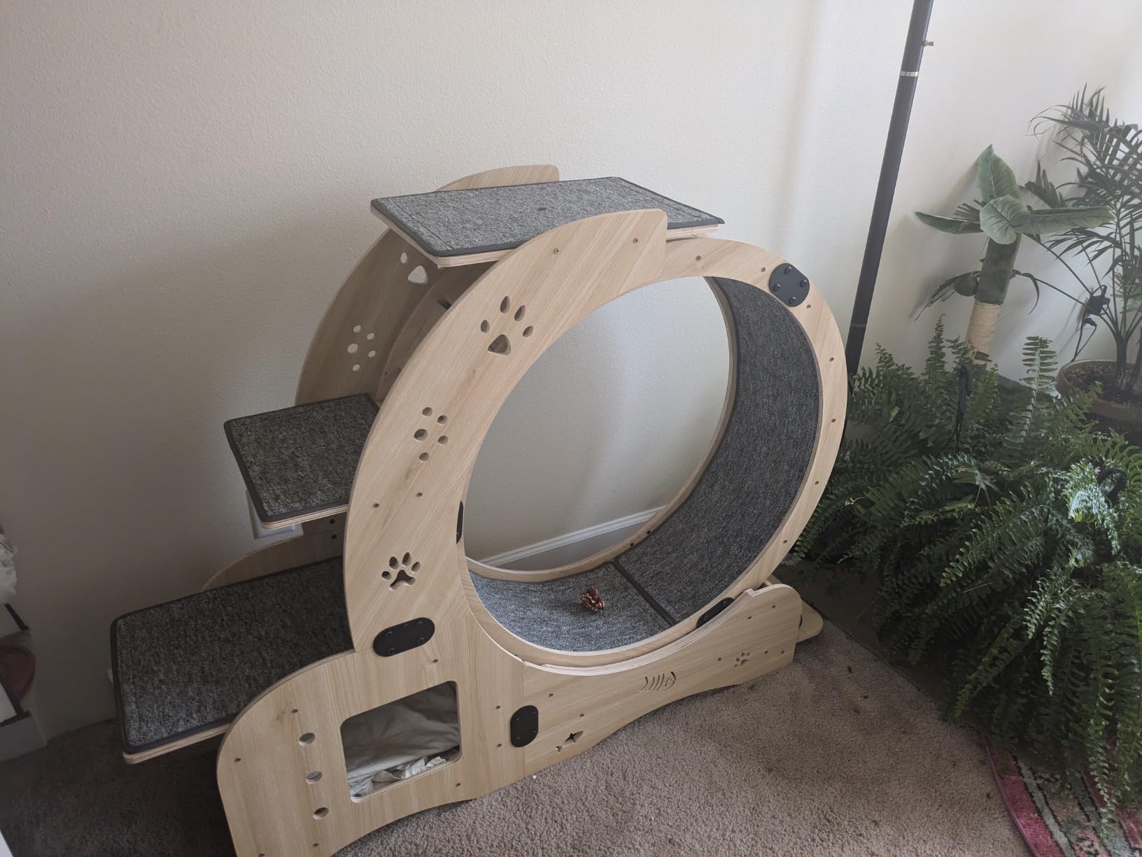 Cat Wheel 7-in-1 Upgraded Exercise Treadmill for Indoor Cats,Cat Treadmill with Silent Running Wheel, Cat Tunnel, Cat Wheels for Indoor Cats, Perfect Cat Jym & Toy for Endless Fun & Fitness customer photo 1