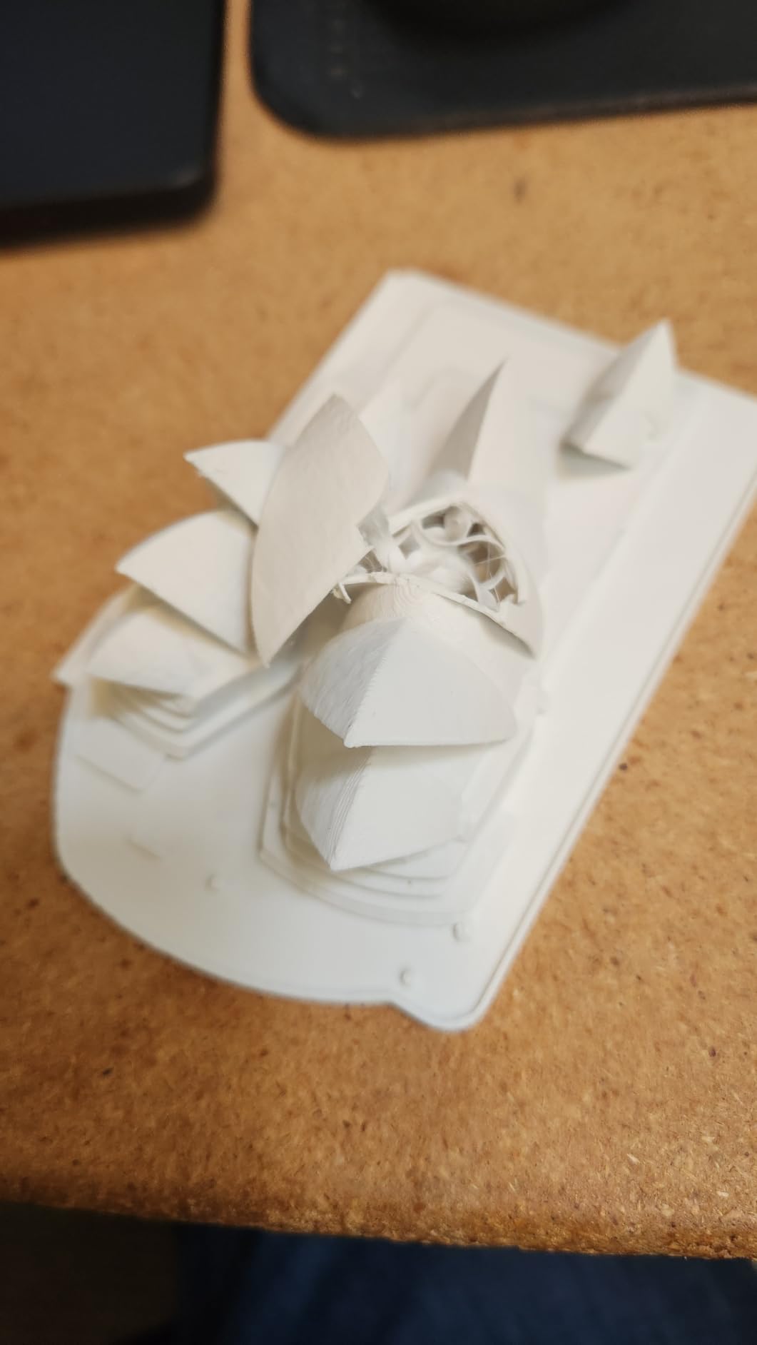 Sydney Opera House Model | PLA Miniature Architectural Replica | Desk Decoration | Gift for Architecture Lovers customer photo 1