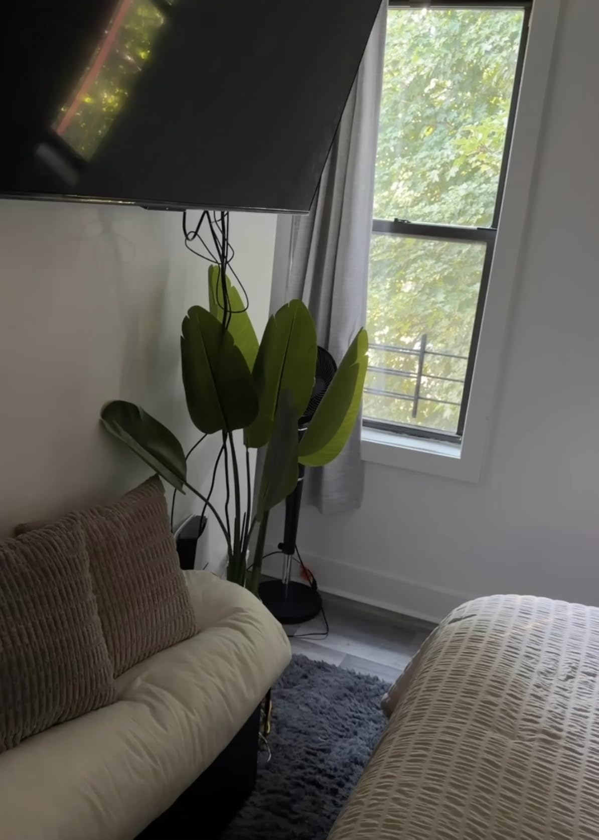 Bird of Paradise Plant Artificial 6ft, Faux Plants Indoor Tall with 12 Trunks - The Perfect Indoor Silk Floor Plant for Home Decor in Living Room, Office, and Bedroom (6FT Bird of Paradise) customer photo 2