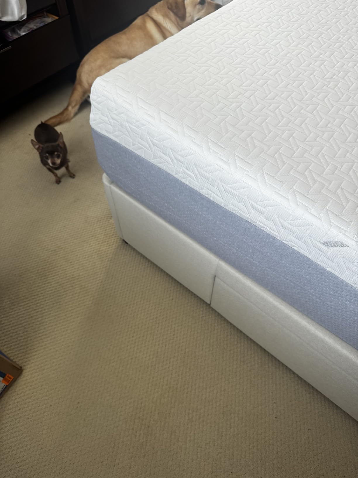 Nectar 12 Inch Memory Foam Mattress, King - Medium Firm, 1-Year Trial | Contouring Memory Foam, Cooling Top Layer, Back Pain & Pressure Relief, Mattress in a Box, 365-Night Trial & Forever Warranty customer photo 1