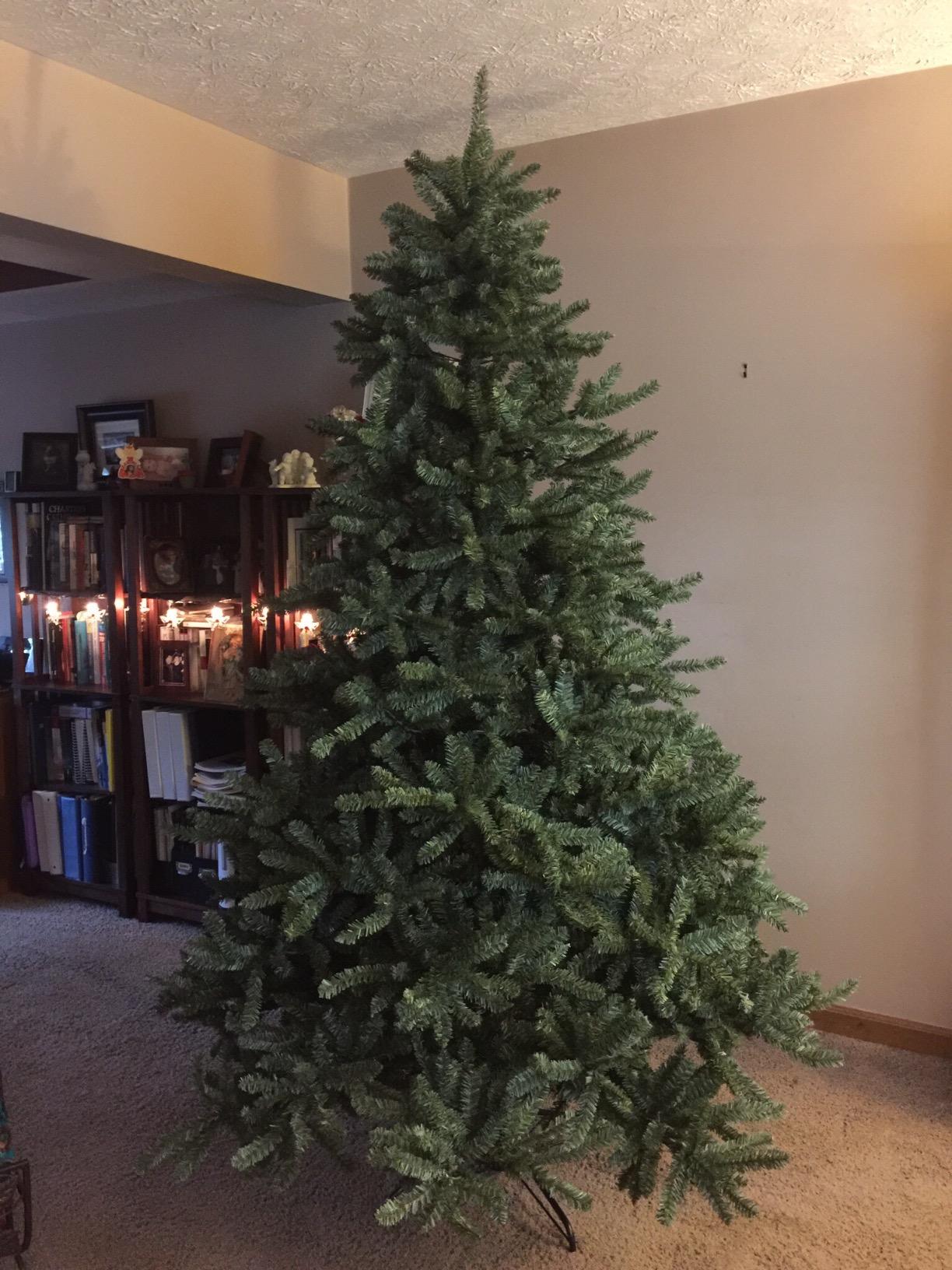 Balsam Hill 15 ft Pre-Lit Classic Blue Spruce - Artificial Christmas Tree with 11,454+ Tips, 3300 Hand-Strung Clear LED Lights, Easy Plug System & Premium Stand for Indoor Holiday Decorating customer photo 1