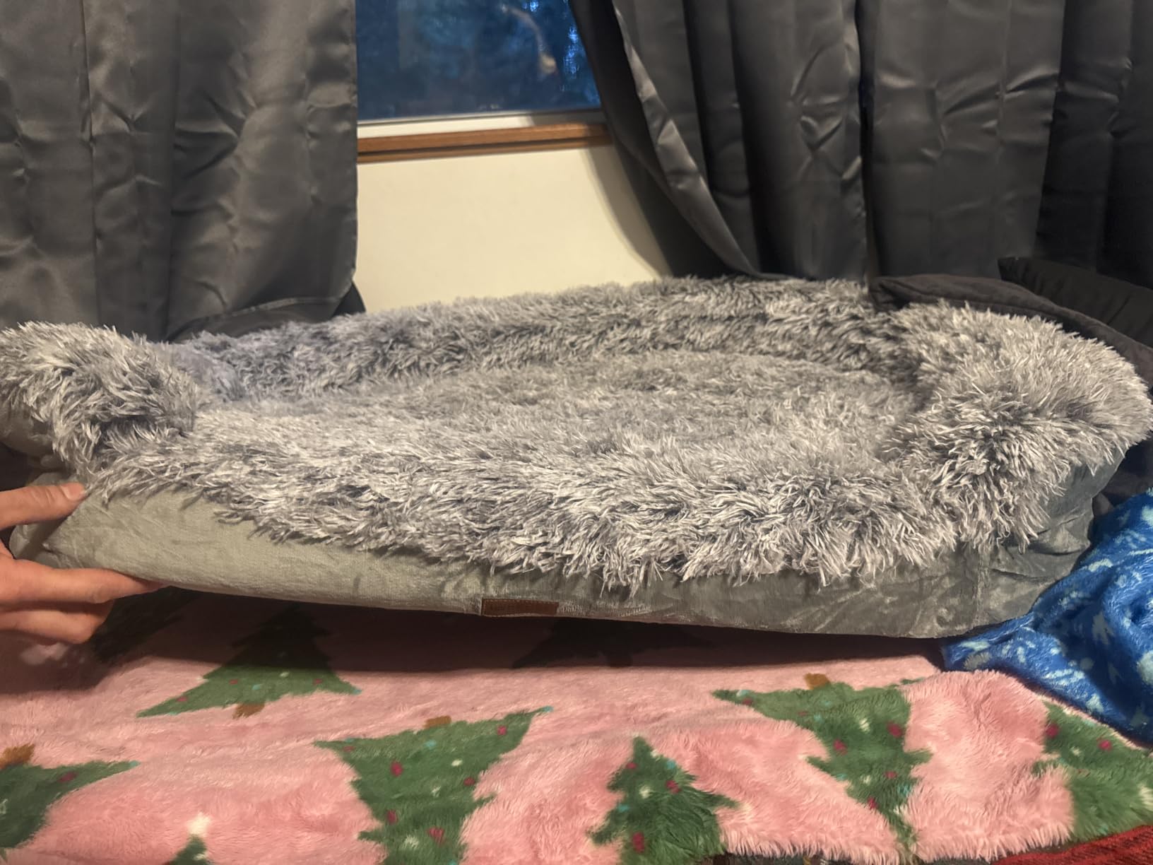 iweepet Fluffy Calming Orthopedic Dog Beds for Large & Extra Large Dogs, Supportive Dog Sofa Bed with 3.7 inch 28D Egg-Crate Foam, Removable Washable Plush Cover, Waterproof Lining,44'',Grey customer photo 2
