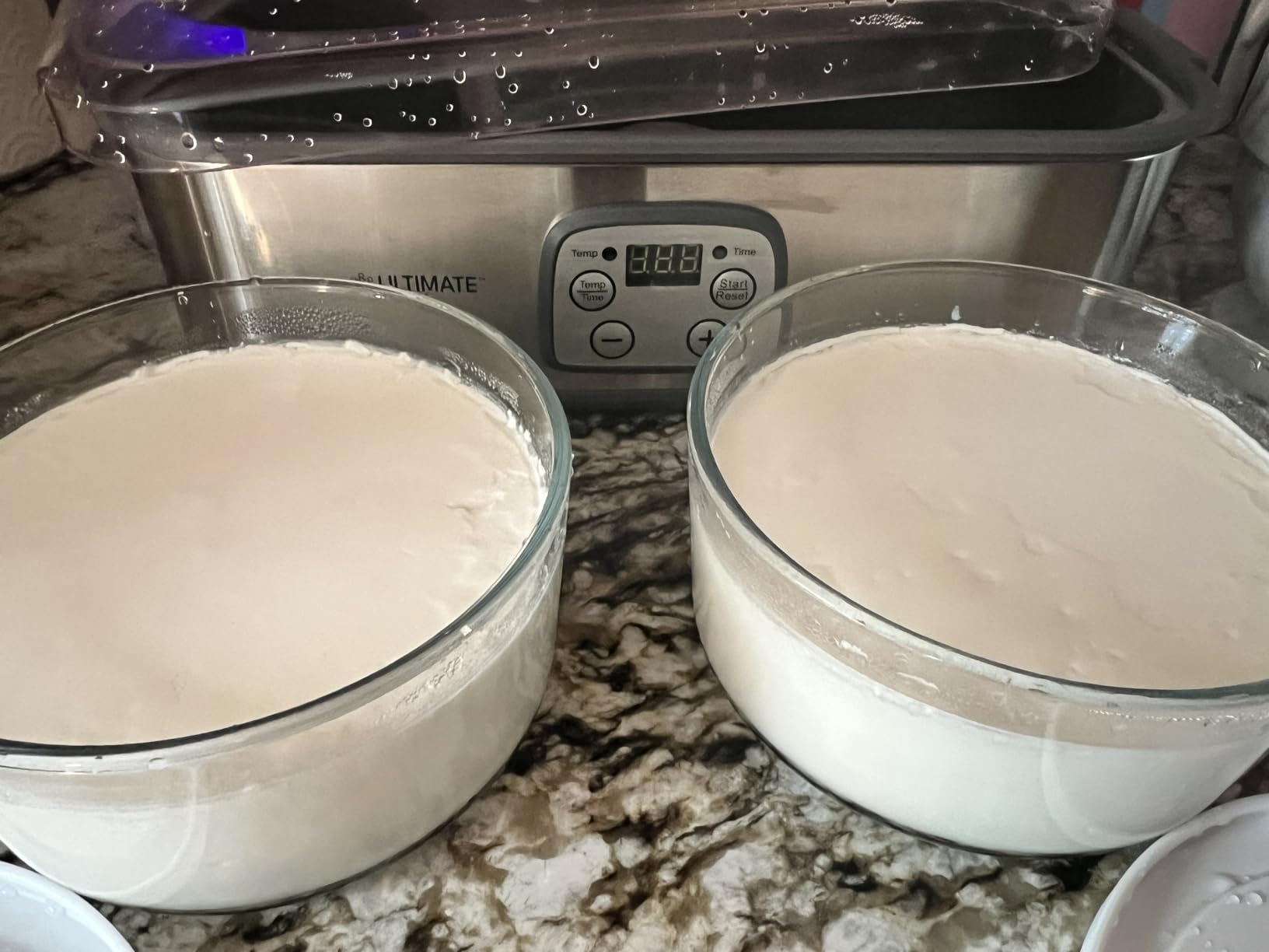 Ultimate Probiotic Yogurt Maker with Adjustable Temperature & Time Control - Make Trillions of Live Probiotics & Get Better Gut Health - ULTIMATE LIFETIME WARRANTY - Wellness Gifts for Men & Women customer photo 2