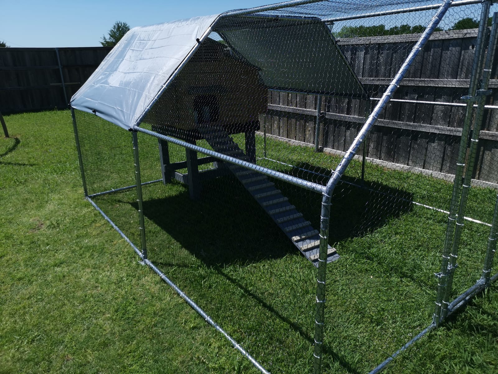 Polar Aurora Metal Chicken Coop, Large Outdoor Chicken Pen, Walk-in Chicken Run for 6-20 Chickens, Double Door Chicken House with Waterproof UV Protection Cover for Backyard (Spire-L) customer photo 1