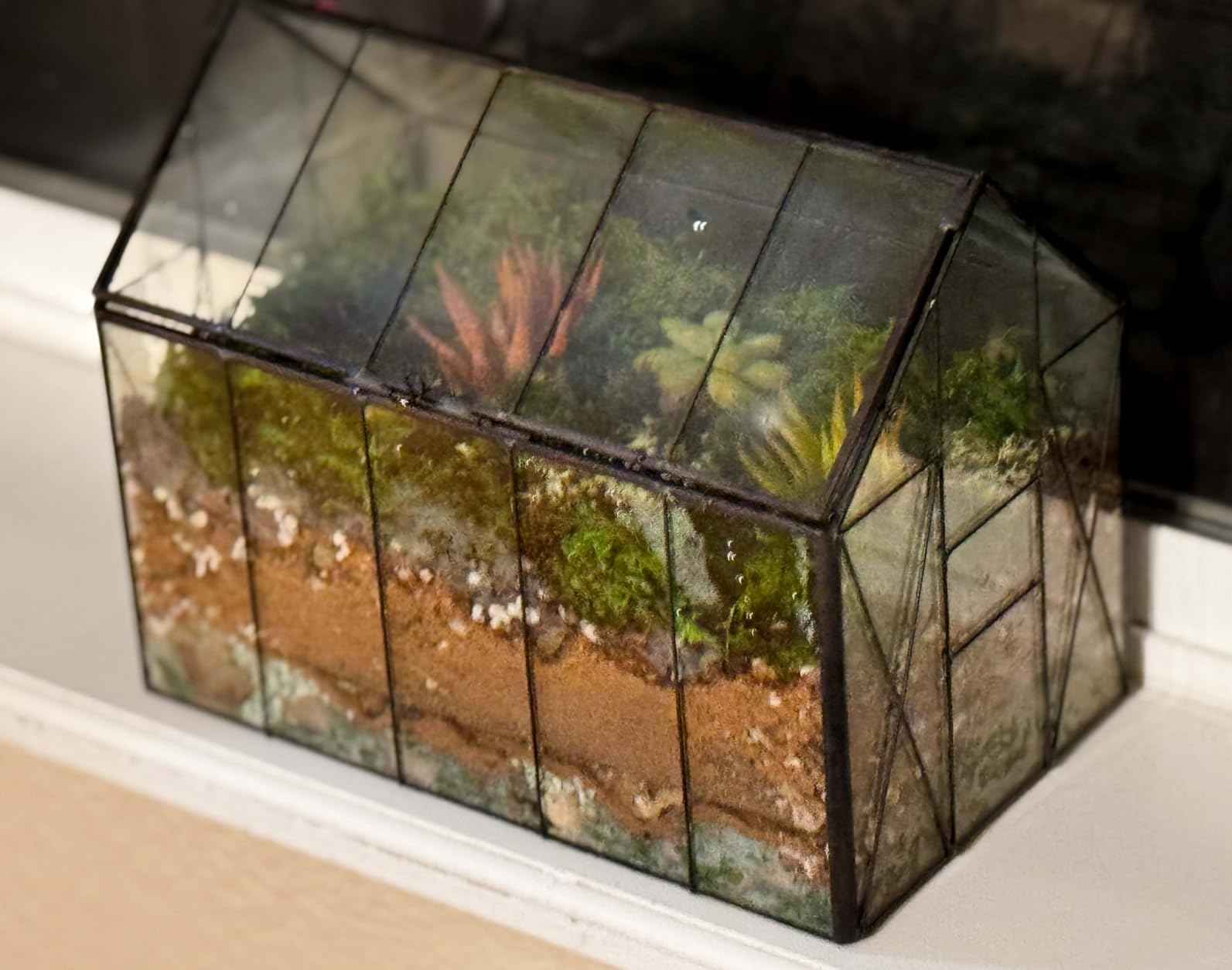 DUSPRO All-in-One DIY Terrarium Starter Kit, Terrarium Supplies | Potting Soil, Pumice, Zeolite, Green Moss, Sphagnum Moss, Decorative Stone, Mesh, Tools & Guide for Succulents & Air Plants customer photo 2