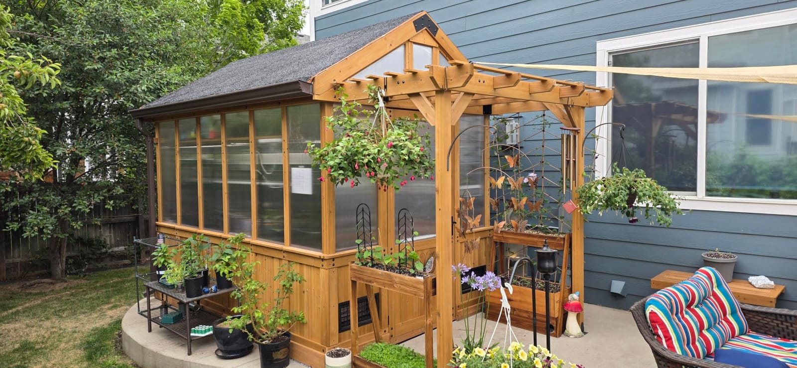Backyard Discovery Bellerose XL 13' x 11' Cedar Wood and Polycarbonate Walk-in Greenhouse Kit with Pergola, Exhaust Fan, Windows, Hose Hook-Ups, PowerPort, Staging Shelves for Outdoor Gardening customer photo 1