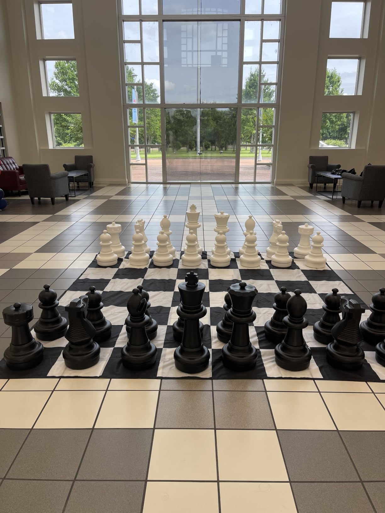 9x9ft Giant Chess Game Mat Nylon Board Mat for Outdoor with 4 Ground Nails & Storage Bag, Compatible with 25/37/49 in Giant Chess Set customer photo 1