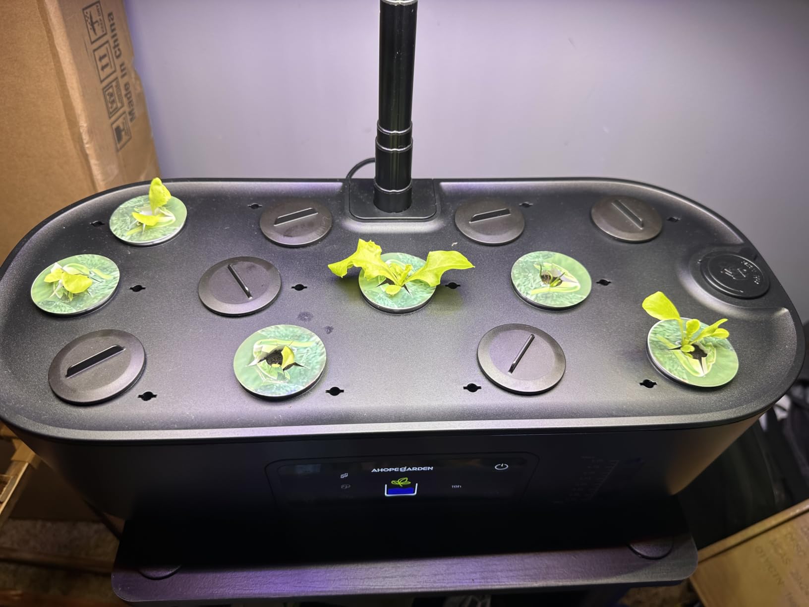 Ahopegarden Hydroponics Growing System Kit: 12 Pods with LCD Control Panel, Indoor Herb Garden with Grow Light customer photo 1