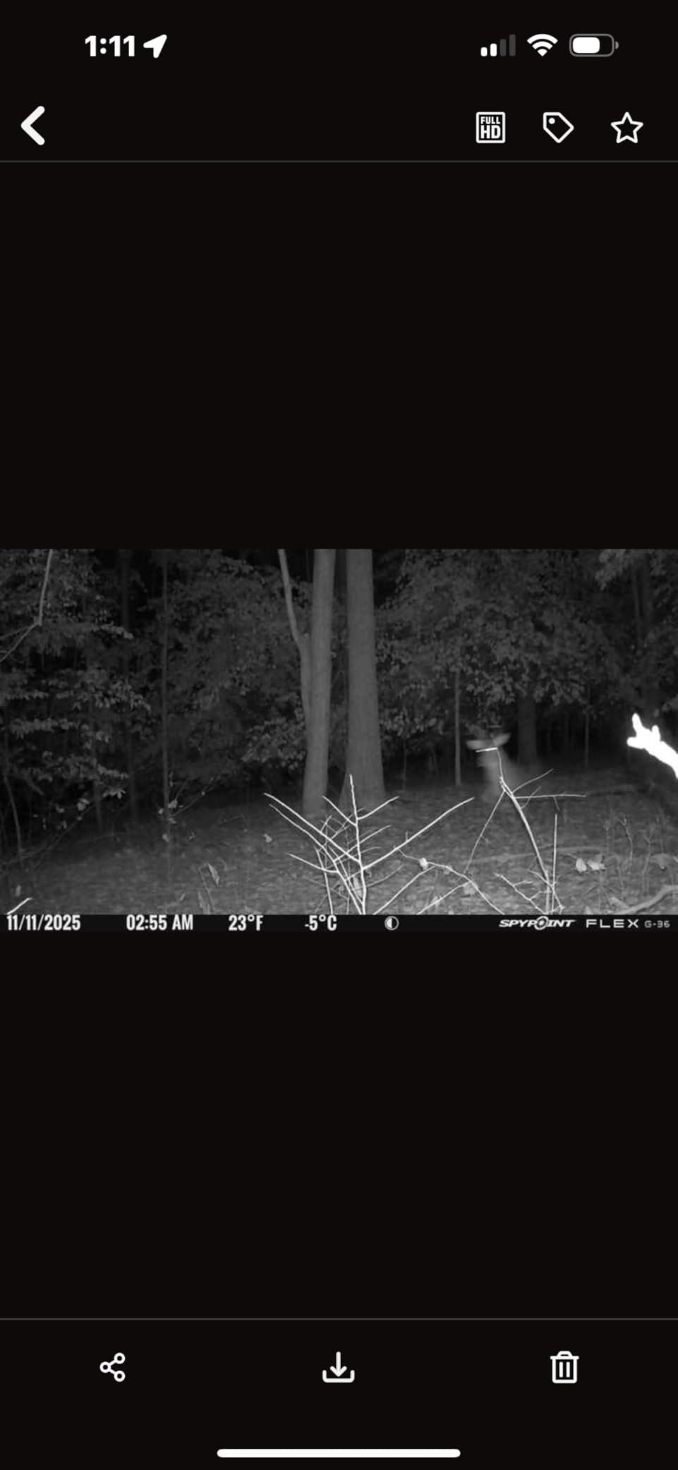 SPYPOINT Flex G-36 Camo - Outdoor Cellular Trail Camera, 1080p Video with Sound, 36 Megapixels, 0.3S Trigger Speed, 100 Flash and Detection Range with Improved Battery Life customer photo 2