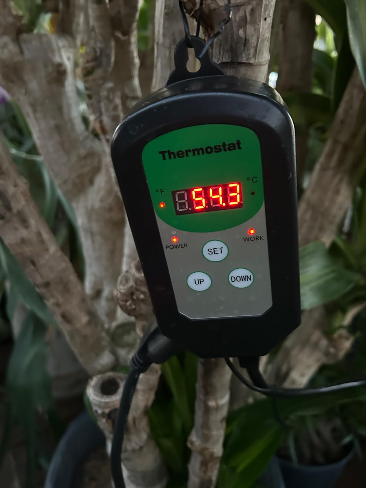 Greenhouse Heater with Thermostat, Auto Temperature Control Kit with Digital Display, Fast Heating, Overheat Protection, for Grow Tent, Greenhouse, Flower Room, Patio, Winter Plants customer photo 1