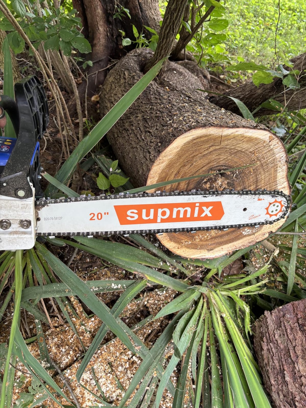 SUPMIXTOOLS 62cc Gas Chainsaw 20 Inch Gas Powered Chainsaws 2-Cycle Petrol Handheld Gasoline Chain Saw Power Saws for Cutting Wood Tree Trimming customer photo 2