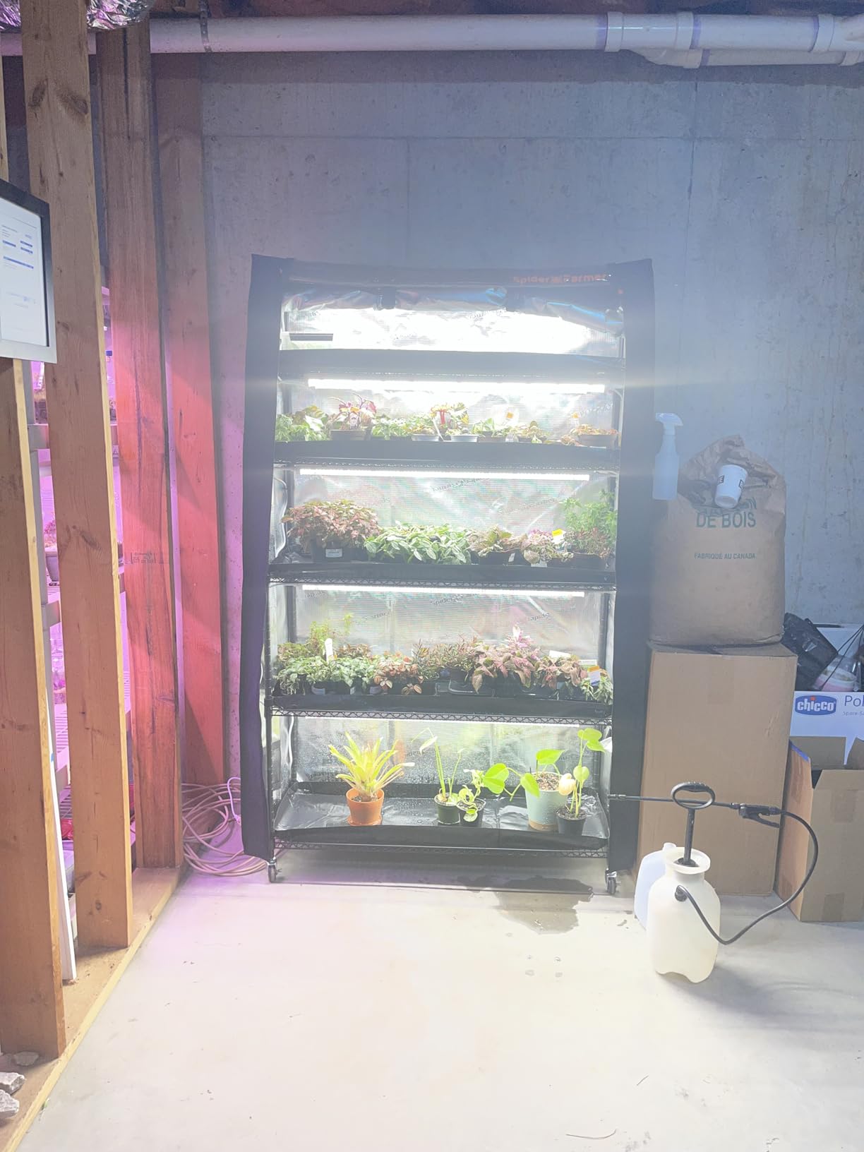 Spider Farmer 4 Tier Plant Stand with Grow Lights Indoor Greenhouse Shelf | 120W Full Spectrum LED Grow Lights, Grow Tent Cover with Visual Curtain and Blackout Curtain, Waterproof Trays, Movable Wheel customer photo 1