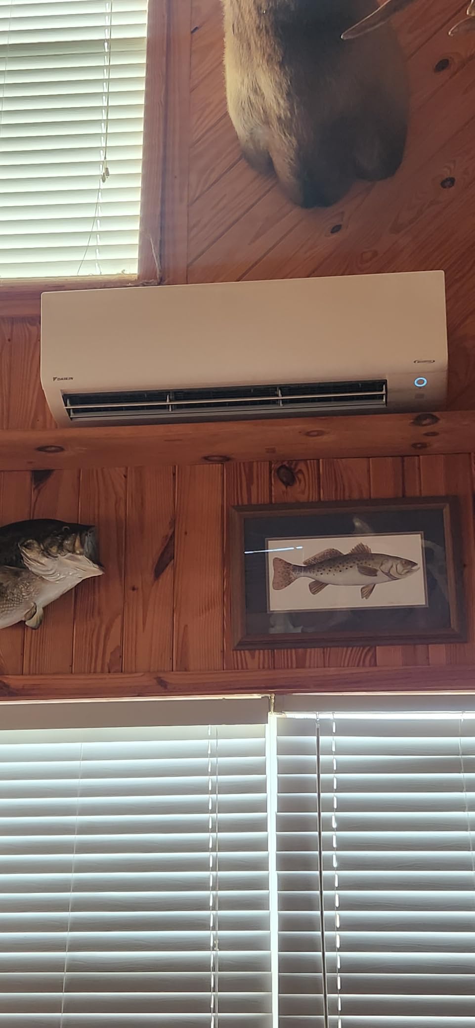 Daikin 24,000 BTU 21 SEER2 Oterra R32 Series Heat Pump Mini Split A/C | Mini-Split Includes Installation Kit and Wall Bracket- 230V customer photo 1
