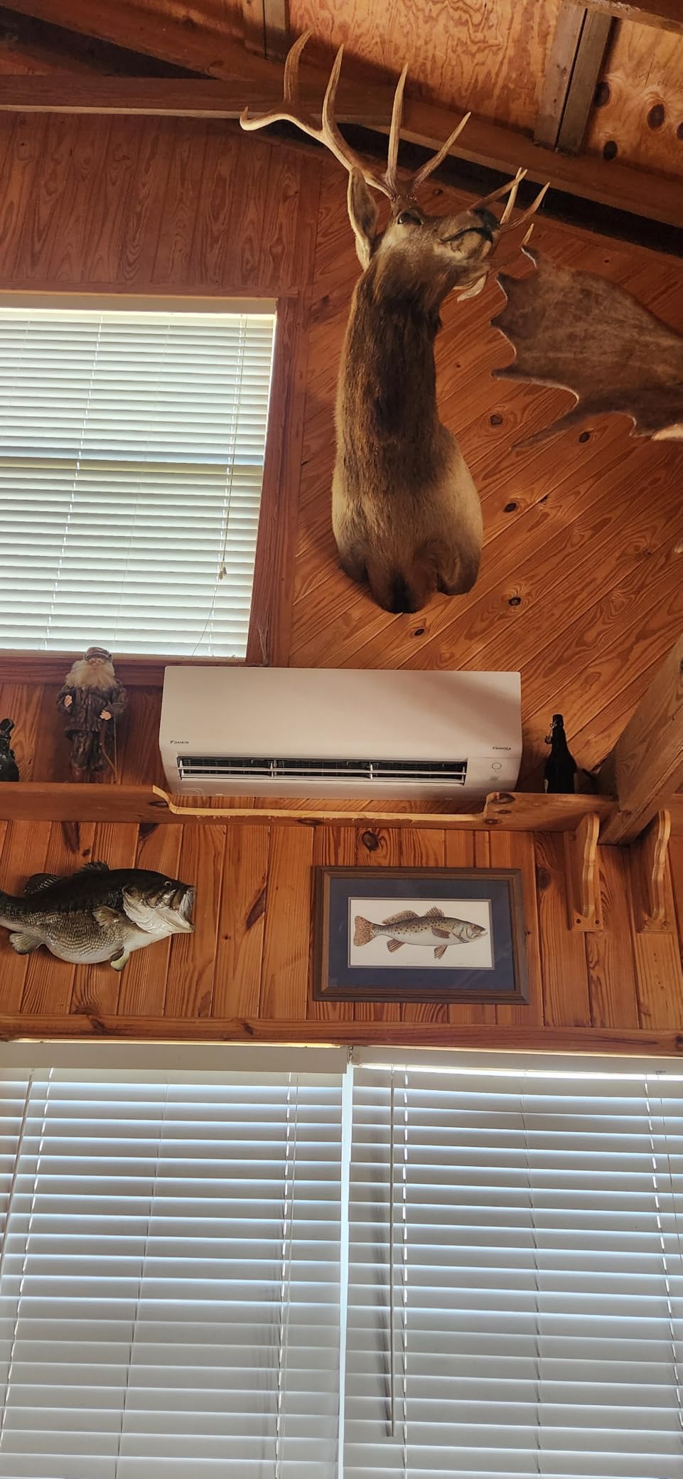Daikin 24,000 BTU 21 SEER2 Oterra R32 Series Heat Pump Mini Split A/C | Mini-Split Includes Installation Kit and Wall Bracket- 230V customer photo 2