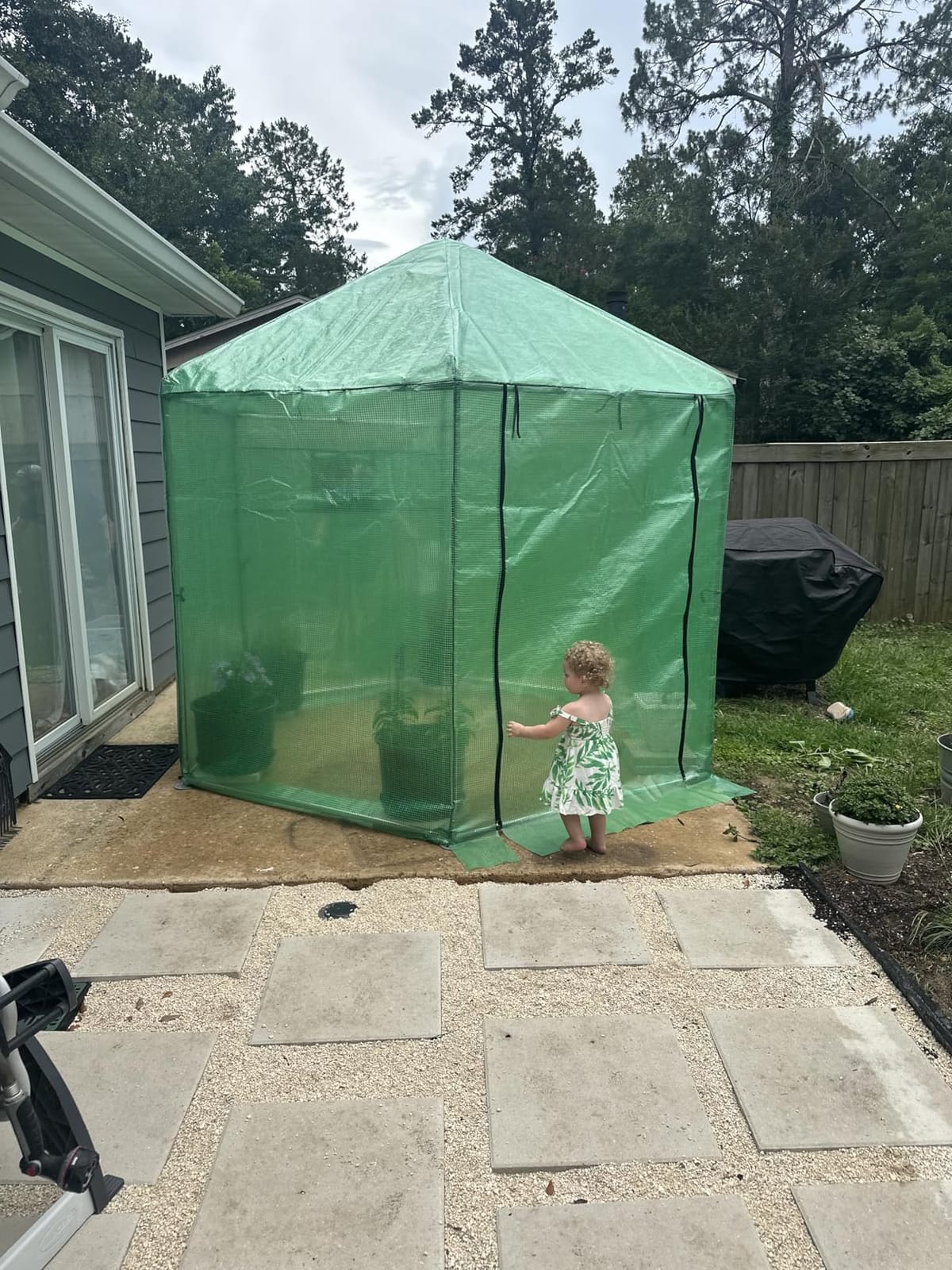 MU 7x7x7.6 FT Greenhouses for Outdoors, Heavy-Duty Green House for Outside, Walk in Winter Greenhouse with 180g Double Layer PE Cover, Ground Stakes, Great for Garden/Patio/Backyard customer photo 2