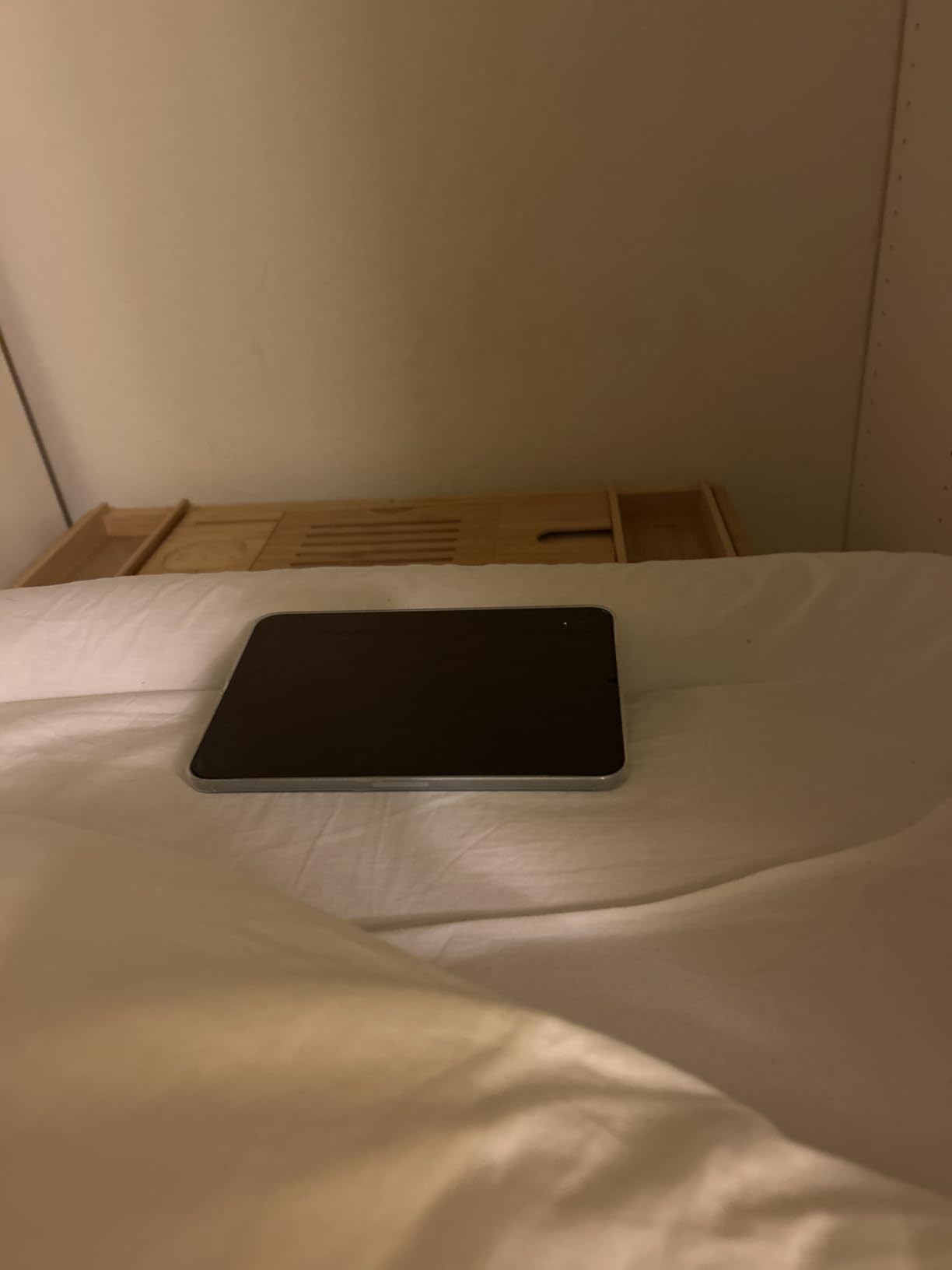 Apple iPad mini (A17 Pro): Apple Intelligence, 8.3-inch Liquid Retina Display, 128GB, Wi-Fi 6E, 12MP Front/12MP Back Camera, Touch ID, All-Day Battery Life - Space Gray customer photo 2