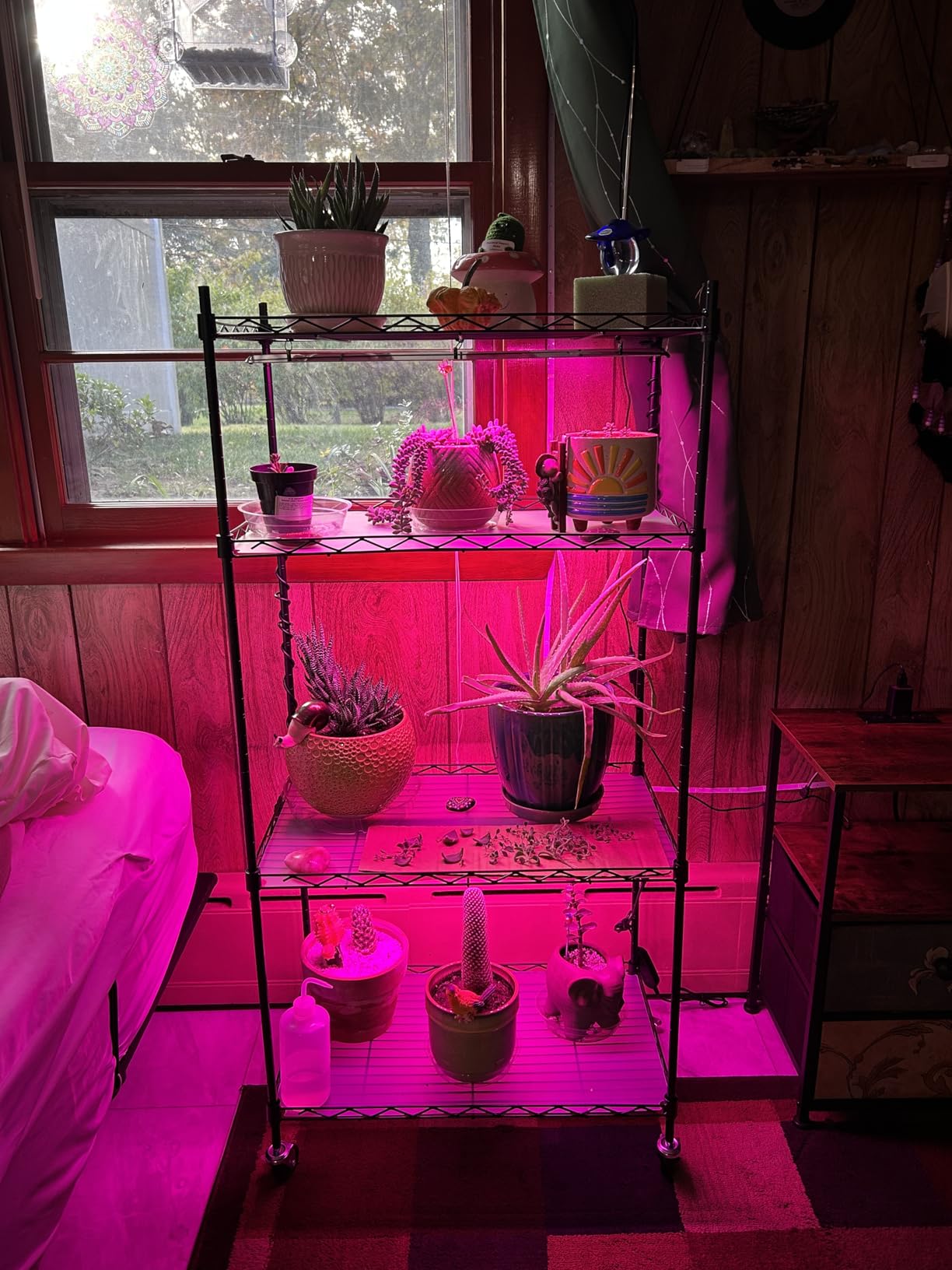 VEVOR Plant Stand with Grow Light, 4-Tier Plant Shelf with 45W Full Spectrum LED, 3 Mode Plant Light with Timer and Wheel for Seed Starting, Metal Plant Rack for Indoor Plants customer photo 1