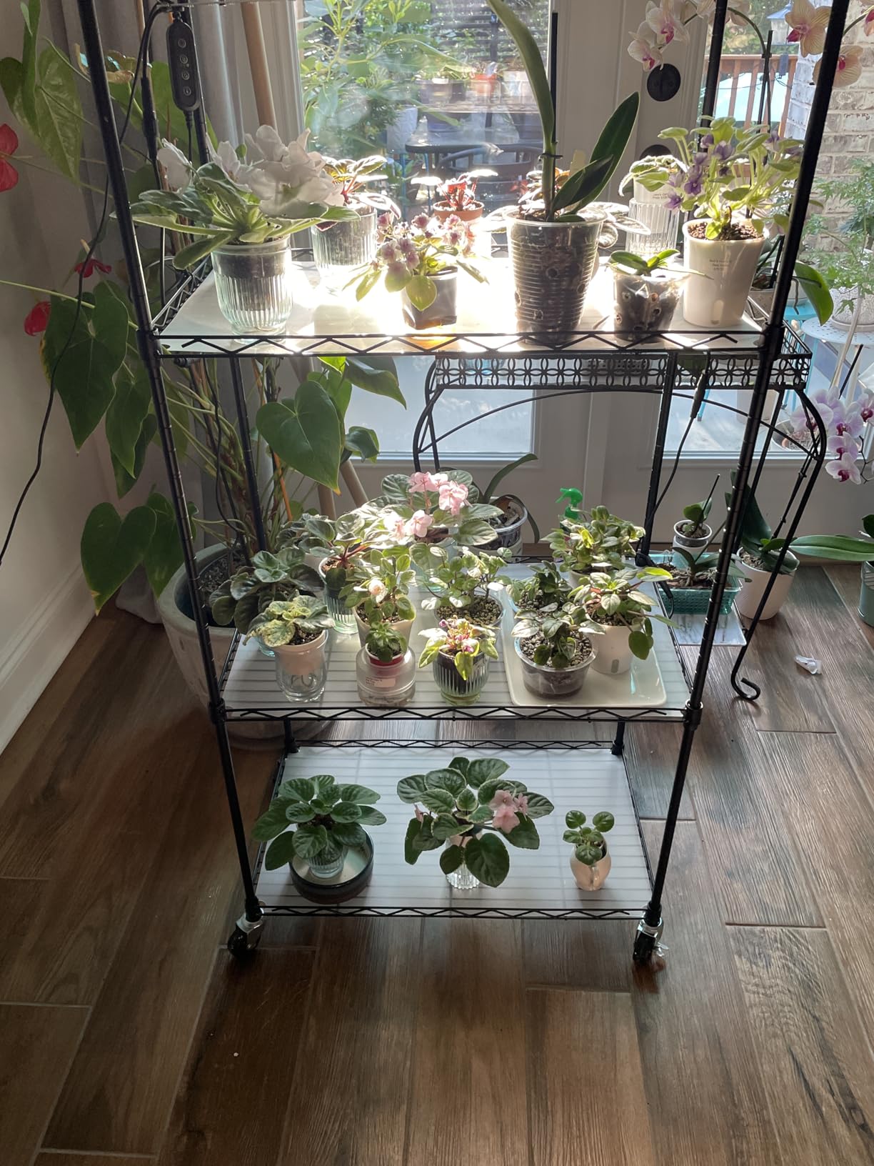 VEVOR Plant Stand with Grow Light, 4-Tier Plant Shelf with 45W Full Spectrum LED, 3 Mode Plant Light with Timer and Wheel for Seed Starting, Metal Plant Rack for Indoor Plants customer photo 2