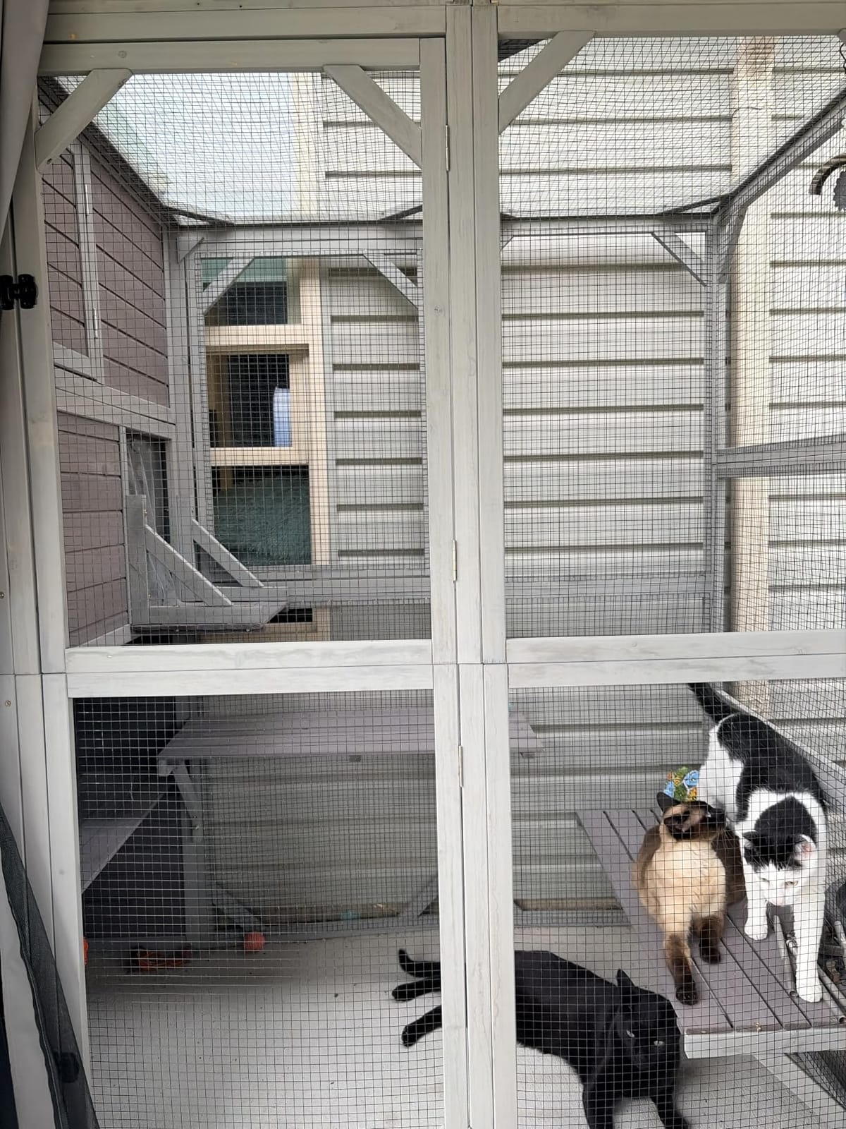 Large Catio Outdoor Cat Enclosure 4 Tiers Cat House with Weatherproof Roof | Weatherproof Roof, 3 Resting Rooms, 3 Platforms, 5 Windows, connects to house via removable back door 70