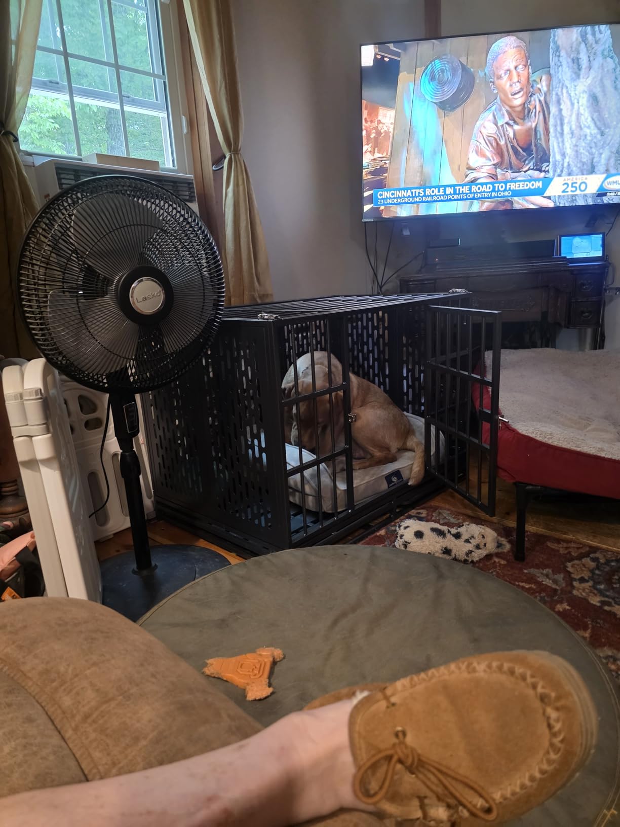 Snuowu 38 Inch Heavy Duty Dog Crate with Wheels, Folding Metal Big Dog Cage for Large and Medium Dogs, Extra Large XL XXL Indestructible Dog Crate with Removable Tray customer photo 2