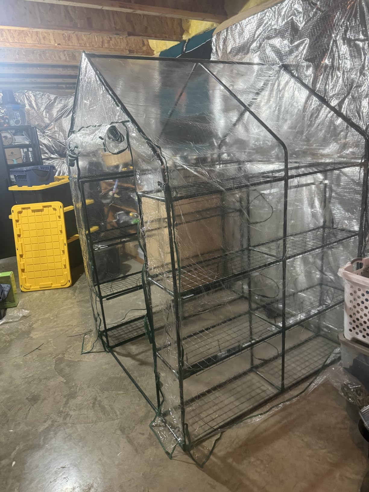 Bstrip Indoor Greenhouse with Grow Light, 4x20W Plant Lights with Timer | Plant Shelf with Tent, 27.2x19.9x61.8in, Ideal for Seed Starting & Trays, Full Spectrum Lighting, Easy Assembly customer photo 1