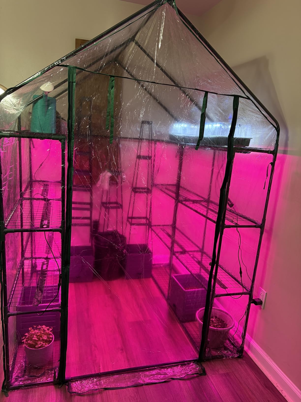 Bstrip Indoor Greenhouse with Grow Light, 4x20W Plant Lights with Timer | Plant Shelf with Tent, 27.2x19.9x61.8in, Ideal for Seed Starting & Trays, Full Spectrum Lighting, Easy Assembly customer photo 2