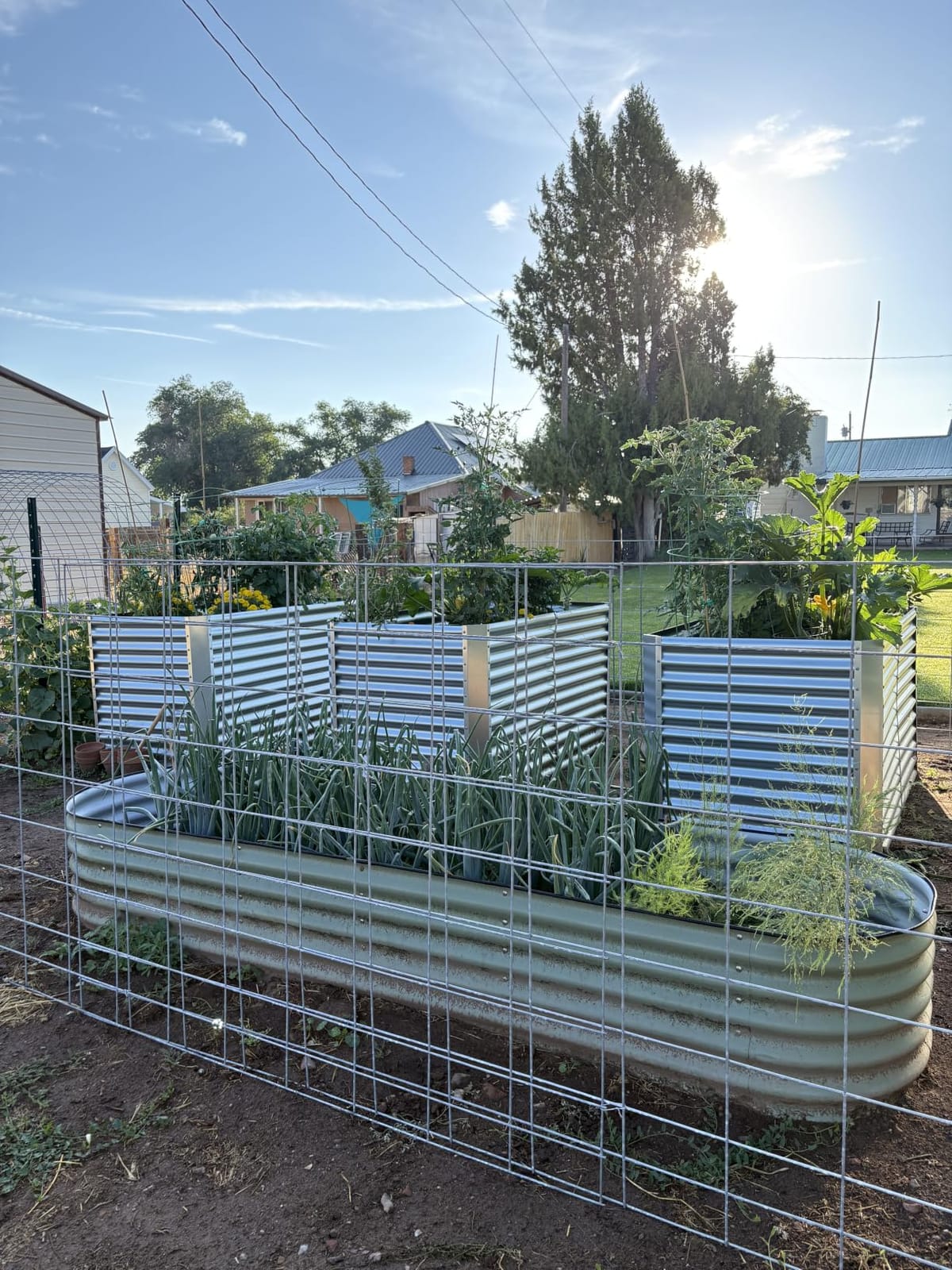 Land Guard 8x4x3ft Rectangular Galvanized Raised Garden Beds, Large-Capacity Metal Planter Box Outdoor, Durable Deep Raised Garden Bed 3ft Tall customer photo 1