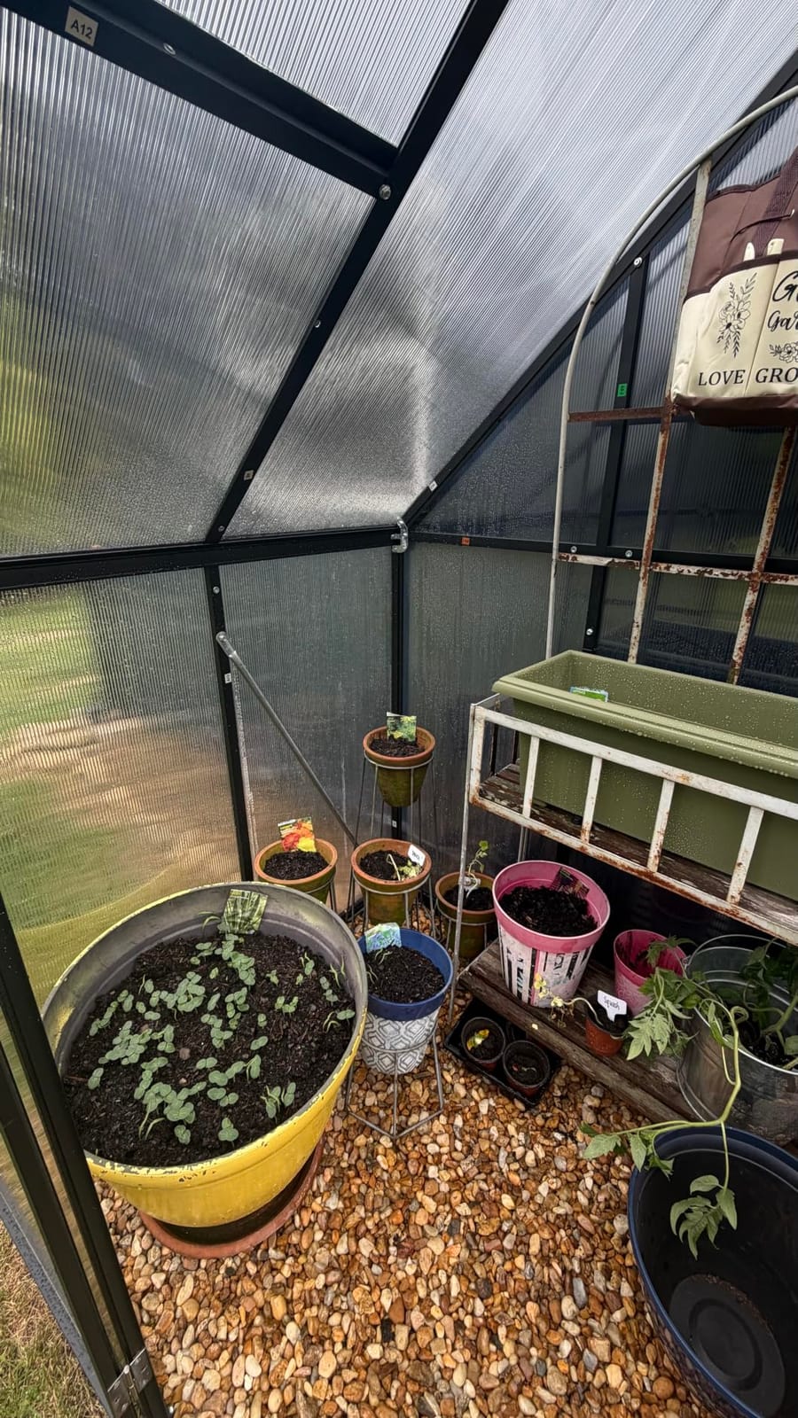 8X10FT Enhanced Aluminum Walk-in Greenhouse for Outdoors with Thermometer | Easy Assembly, UV-Resistant Panel, Rain Gutter, Lockable Hinged Door, Built-in Reinforcement, For Vegetable, Flower and Herb customer photo 1