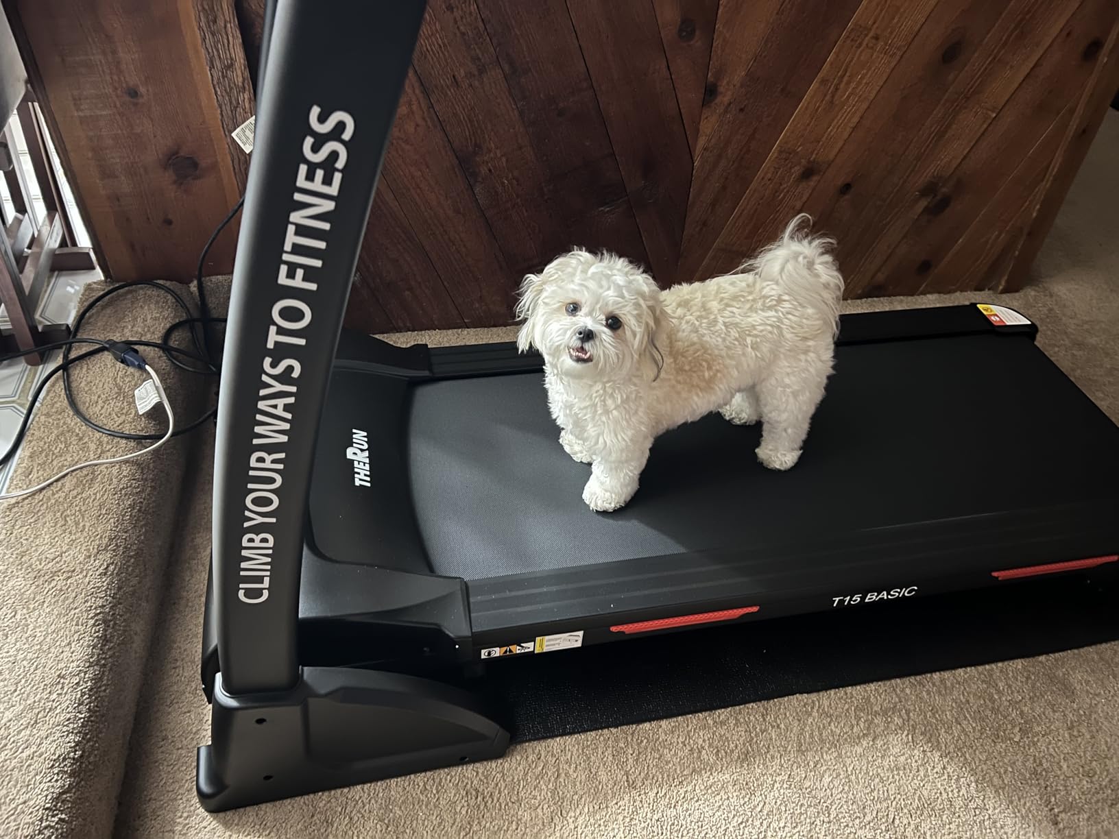 THERUN Incline Treadmill, Treadmills for Running and Walking, 400 lbs Weight Capacity Folding Treadmill with 0-16% Auto Incline, Wide Belt, 4.0 HP, App, Heart Rate customer photo 1