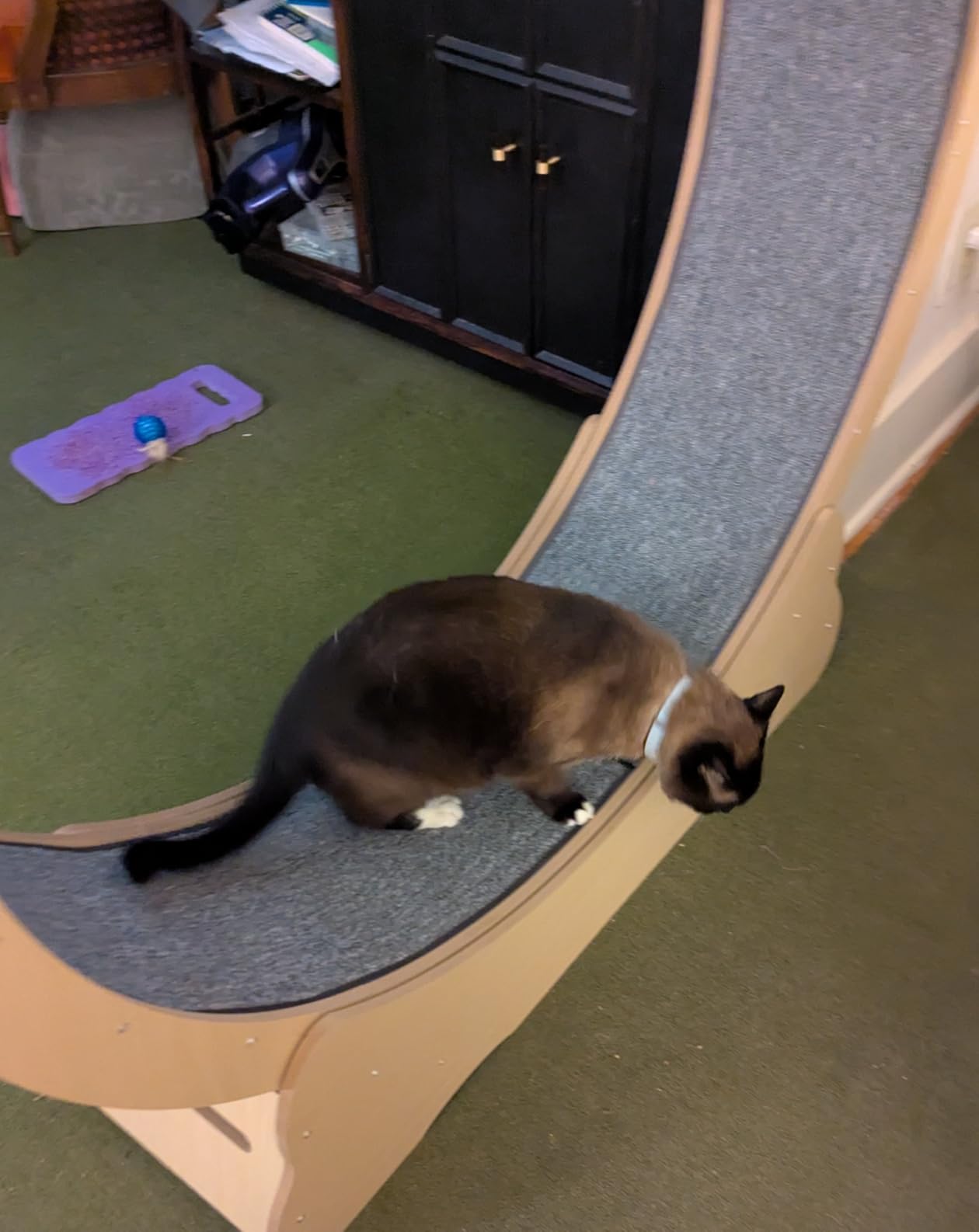 VEVOR Cat Exercise Wheel, 43.3
