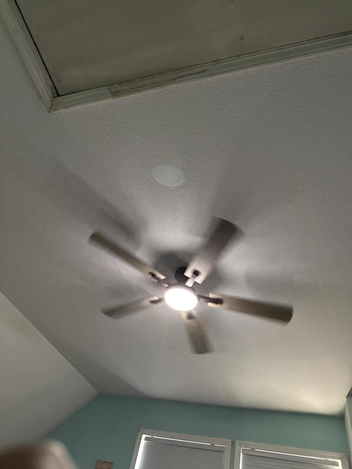 ZMISHIBO 52 Inch Ceiling Fans with Lights, Remote&App Control, Flush Mount | Low Profile, Dimmable 20W LED Light, Quiet Reversible Motor, Strong Airflow, Easy Install for Bedroom/Living Room/Apt, Black customer photo 2