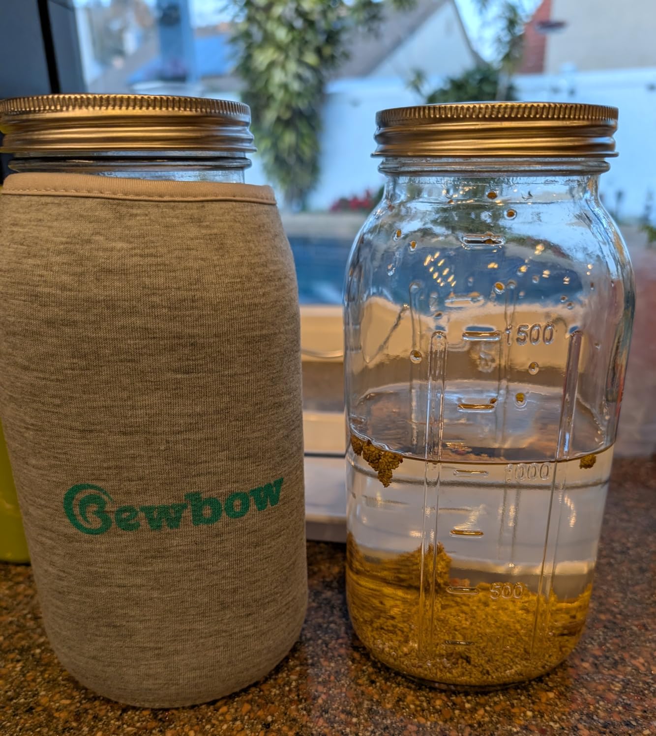 2000ml (68oz) LARGE SIZE Seed Sprouting Mason Jar Kit with Stand, Drain Tray | Screen Lids Seed Sprouting Kit, Blackout Sleeves, Good Ventilation & Drainage, Growing Fresh Organic Mung Beans, Broccoli customer photo 1