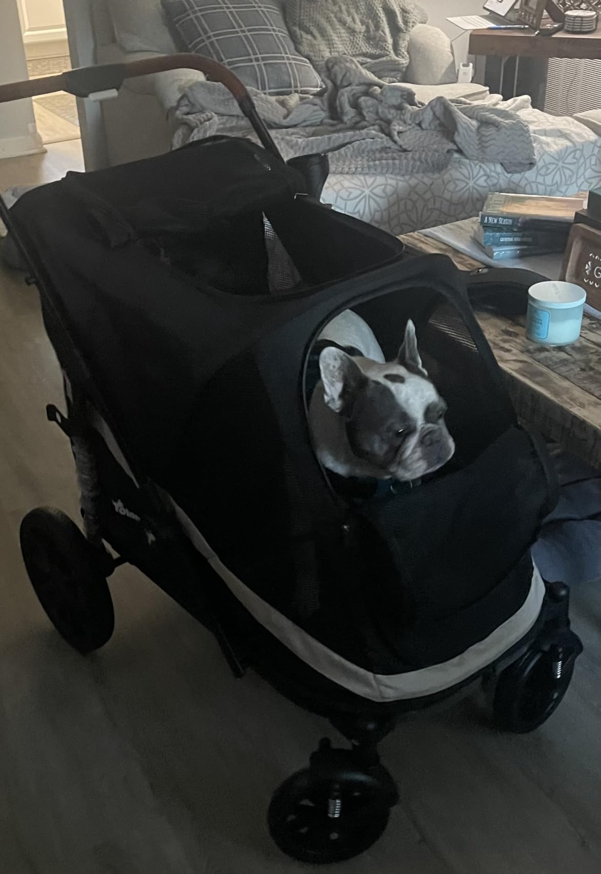 Dog Stroller for Large Dogs One-Click Folding 4 Wheel Foldable Dog Stroller for 2 Dogs with Storage Pocket Suitable for Pets Up to 80LBS (Black, Large) customer photo 1